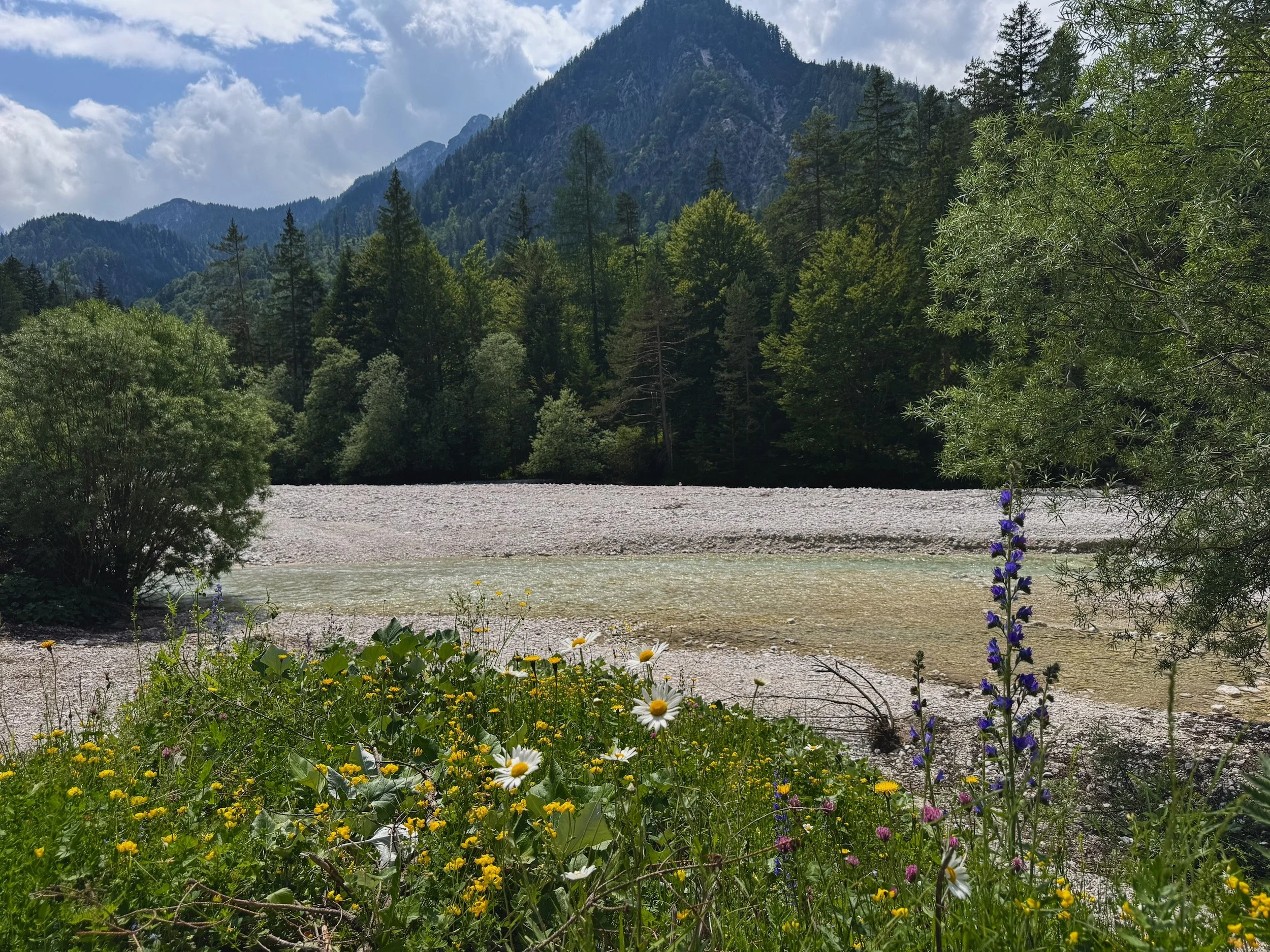 Kranjska-Gora-Slovenia-176.jpeg