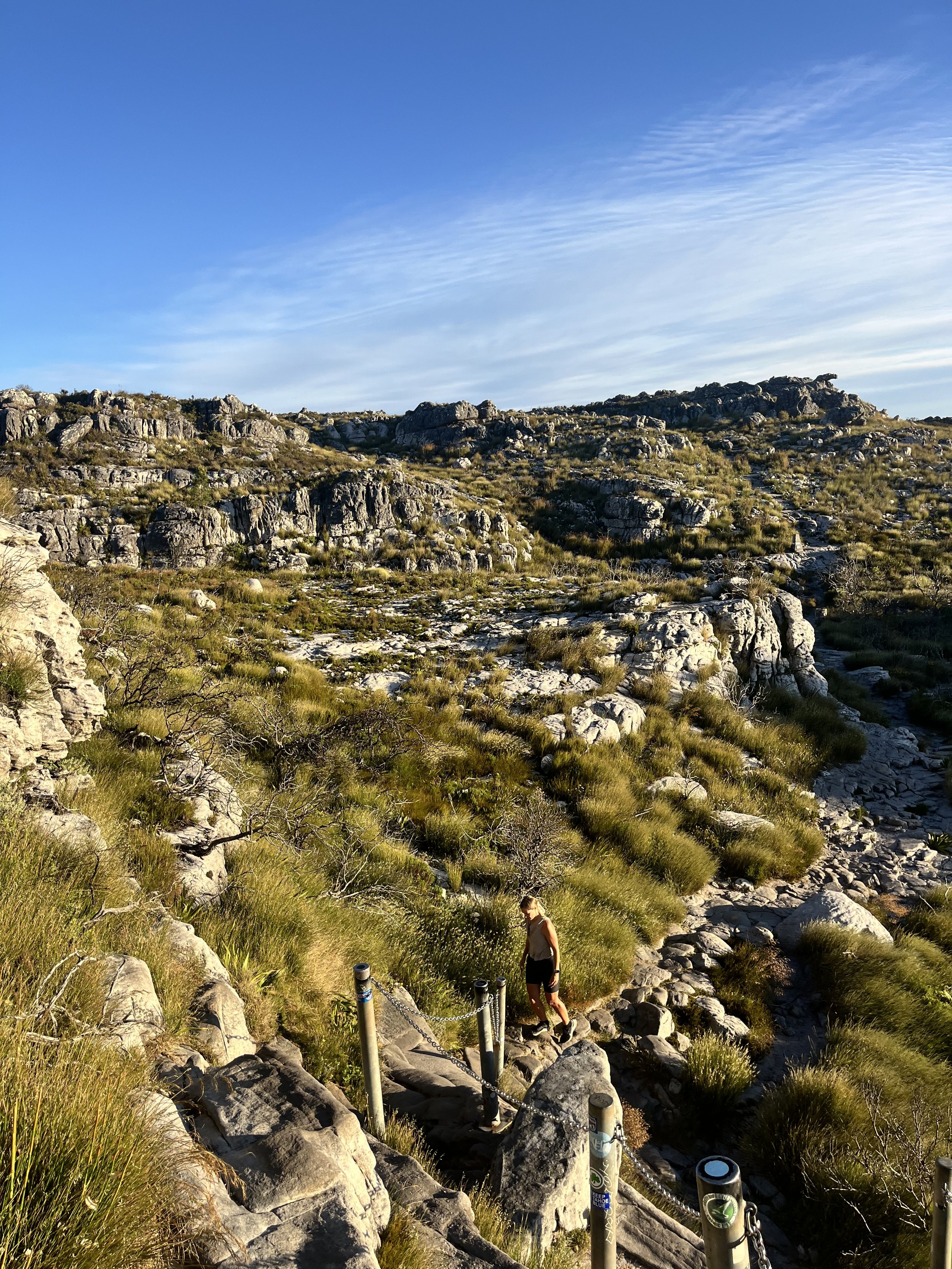 TableMountain_CT.jpg