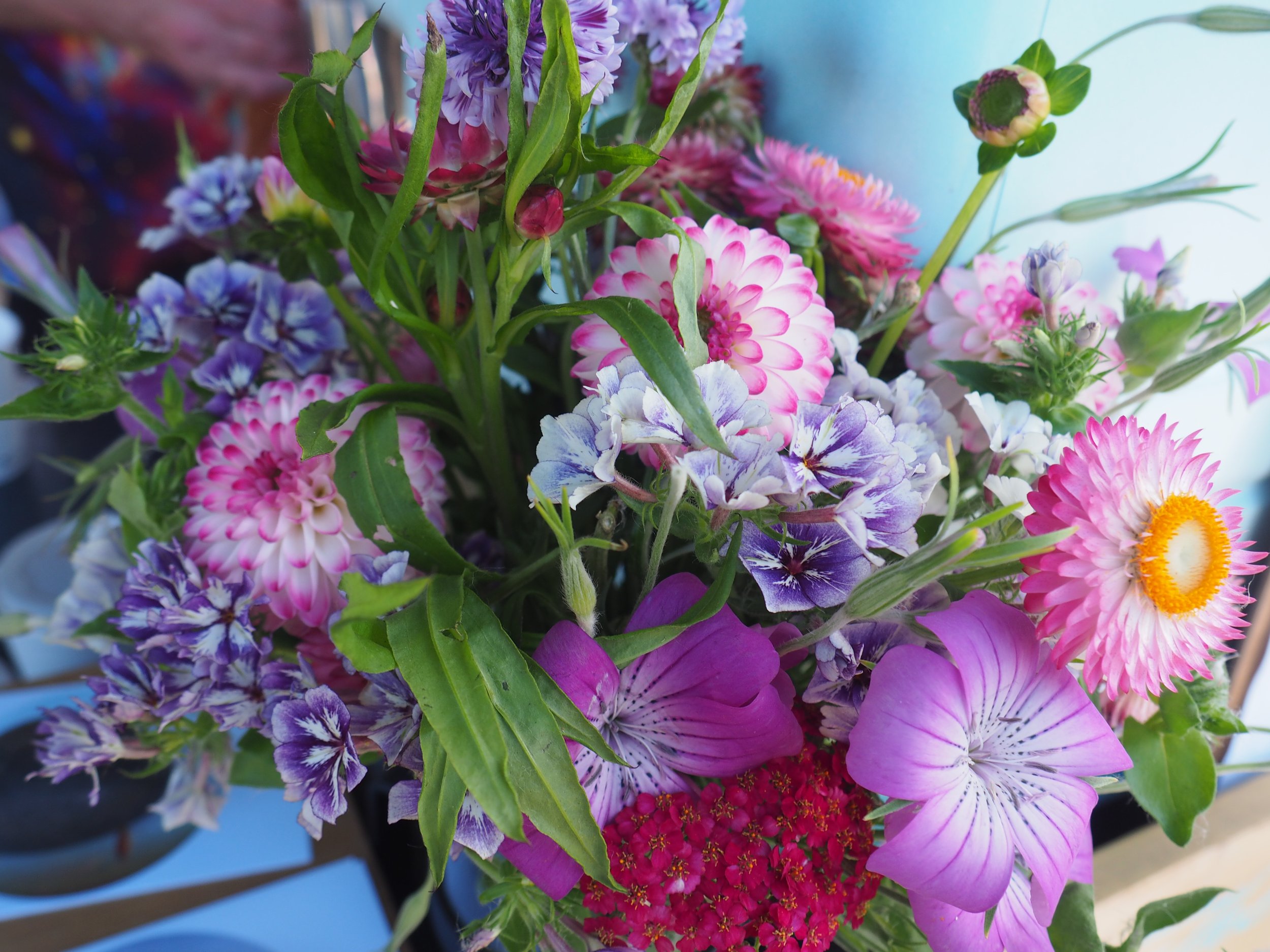The Top 7 Farmers Markets in New Zealand
