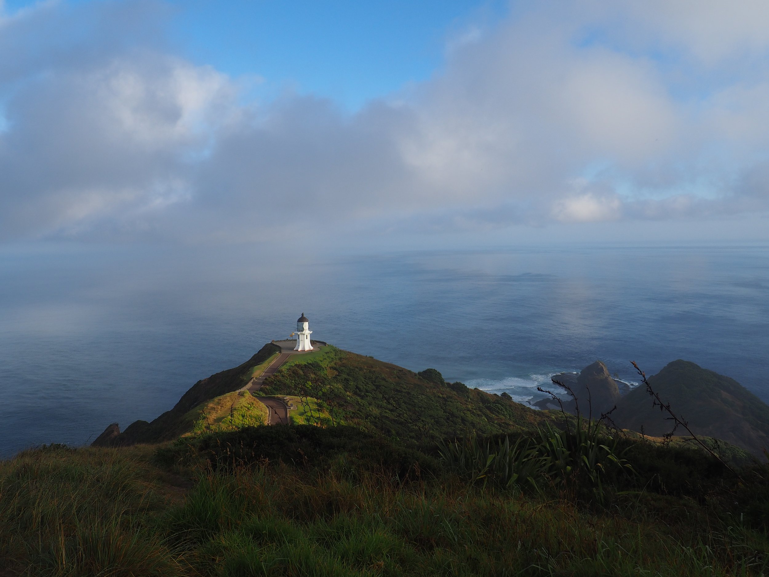 New Zealand Road Trip: Auckland to Cape Reinga