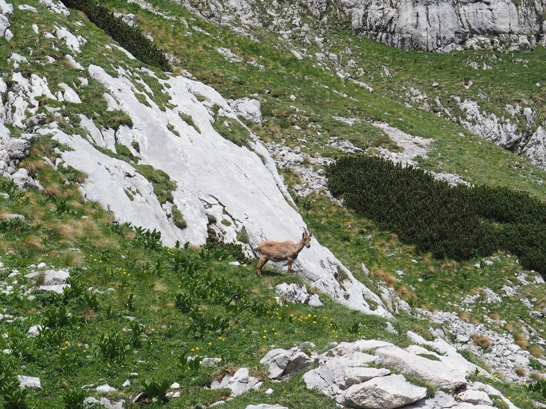 Vrata-Valley-Slovenia-143.jpg