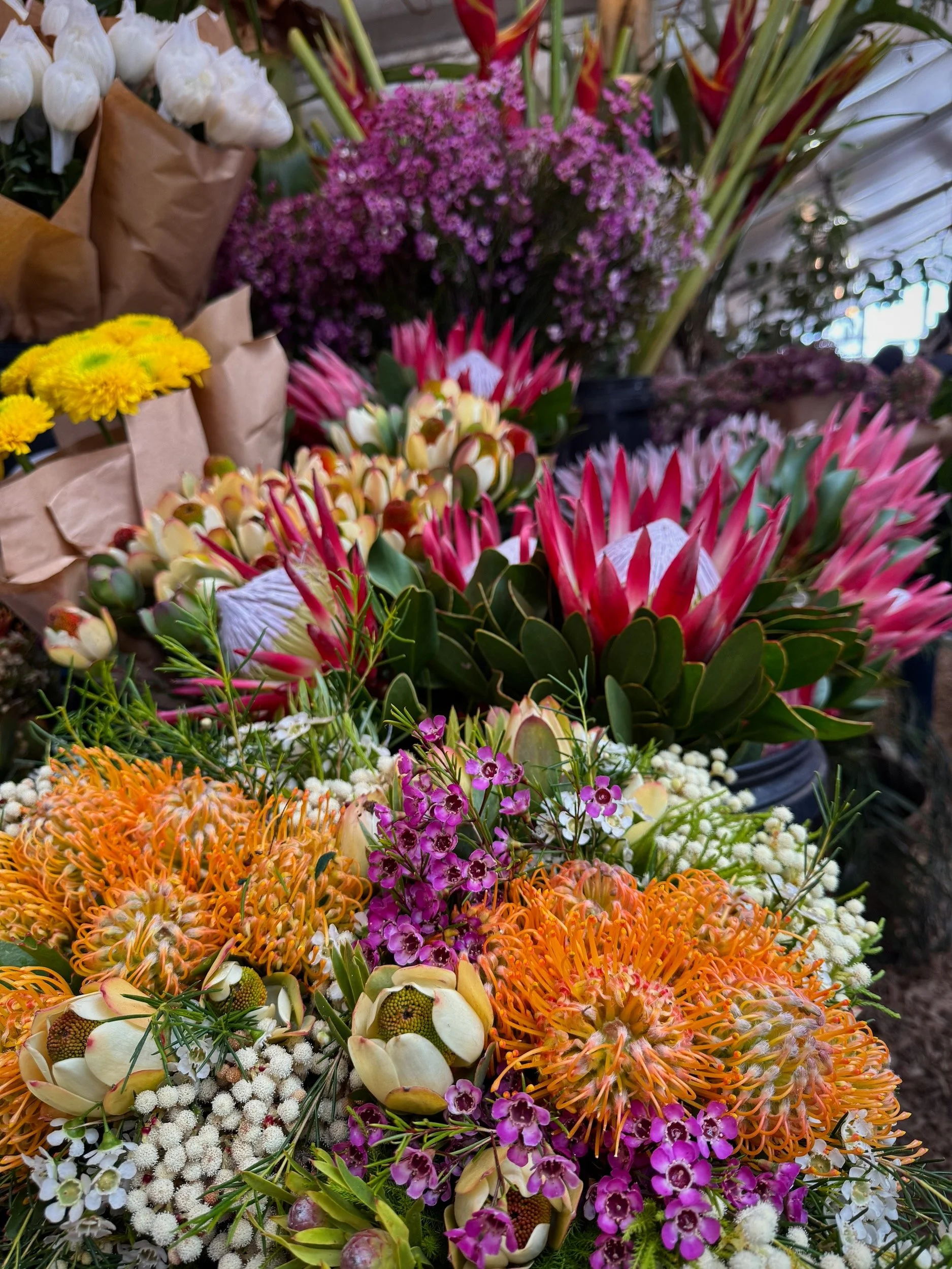 Colorful Flower at Oranjezicht City Farm Market