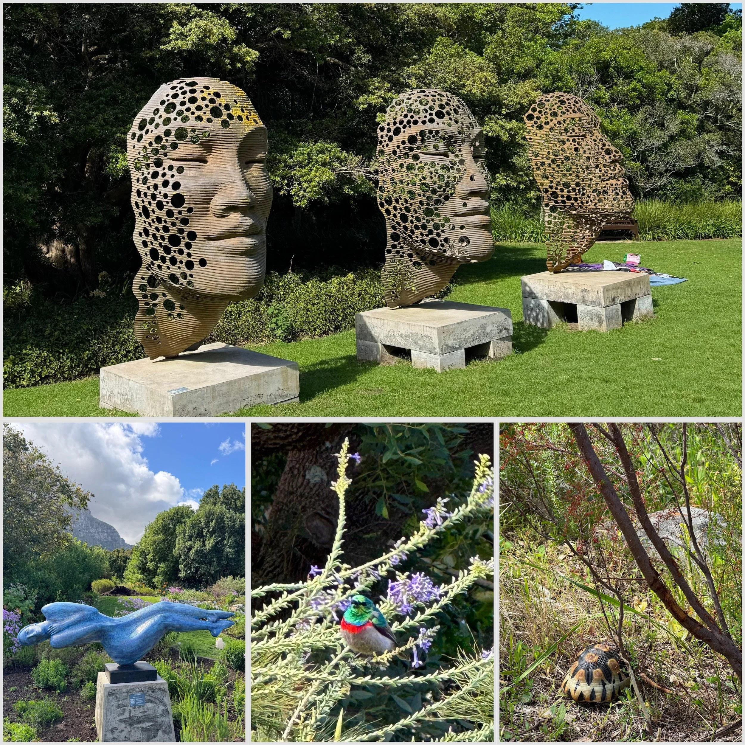 Sculptures and garden views at Kirstenbosch Botanical Garden