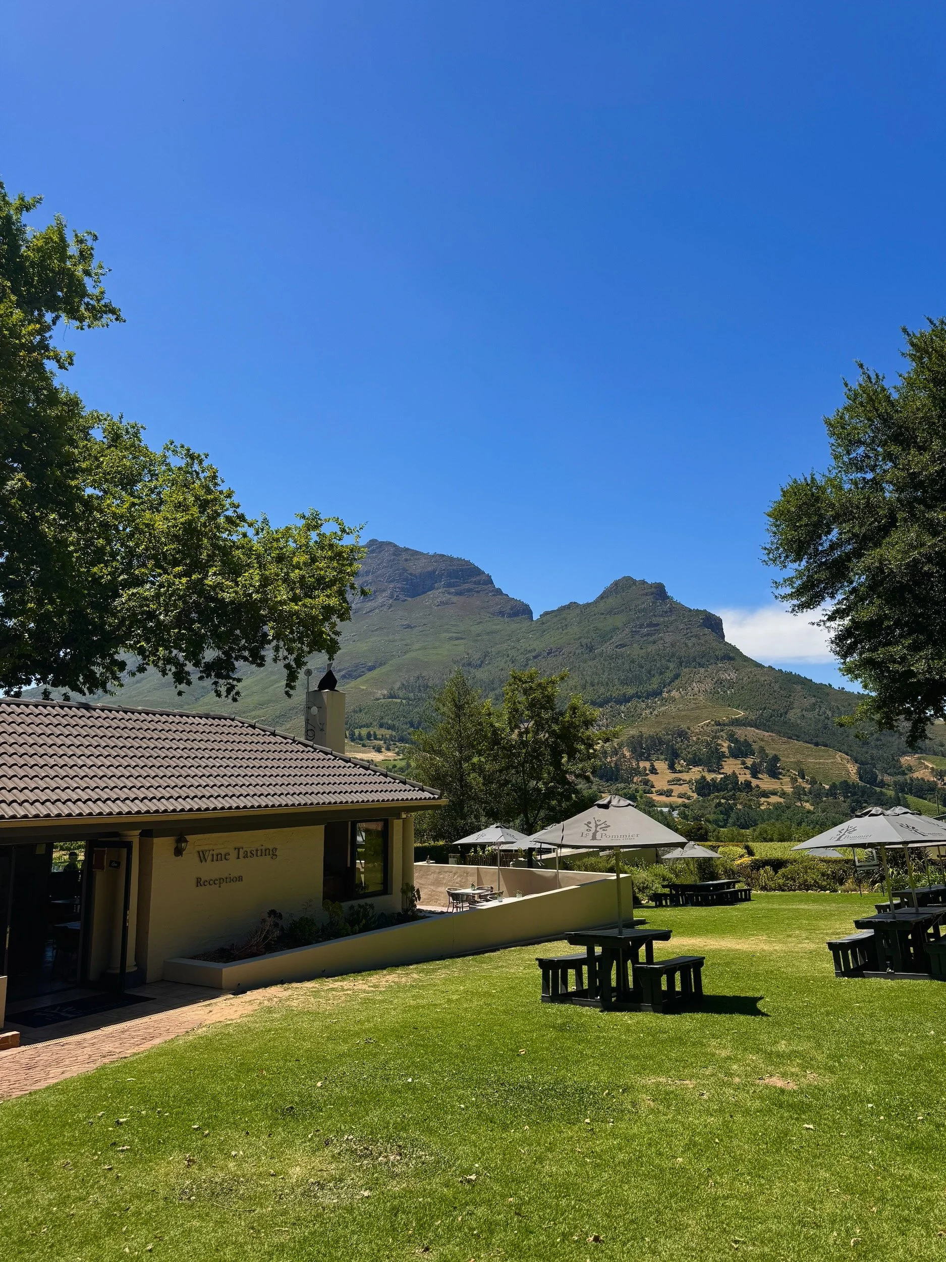 Mountain View from a Wine Estate