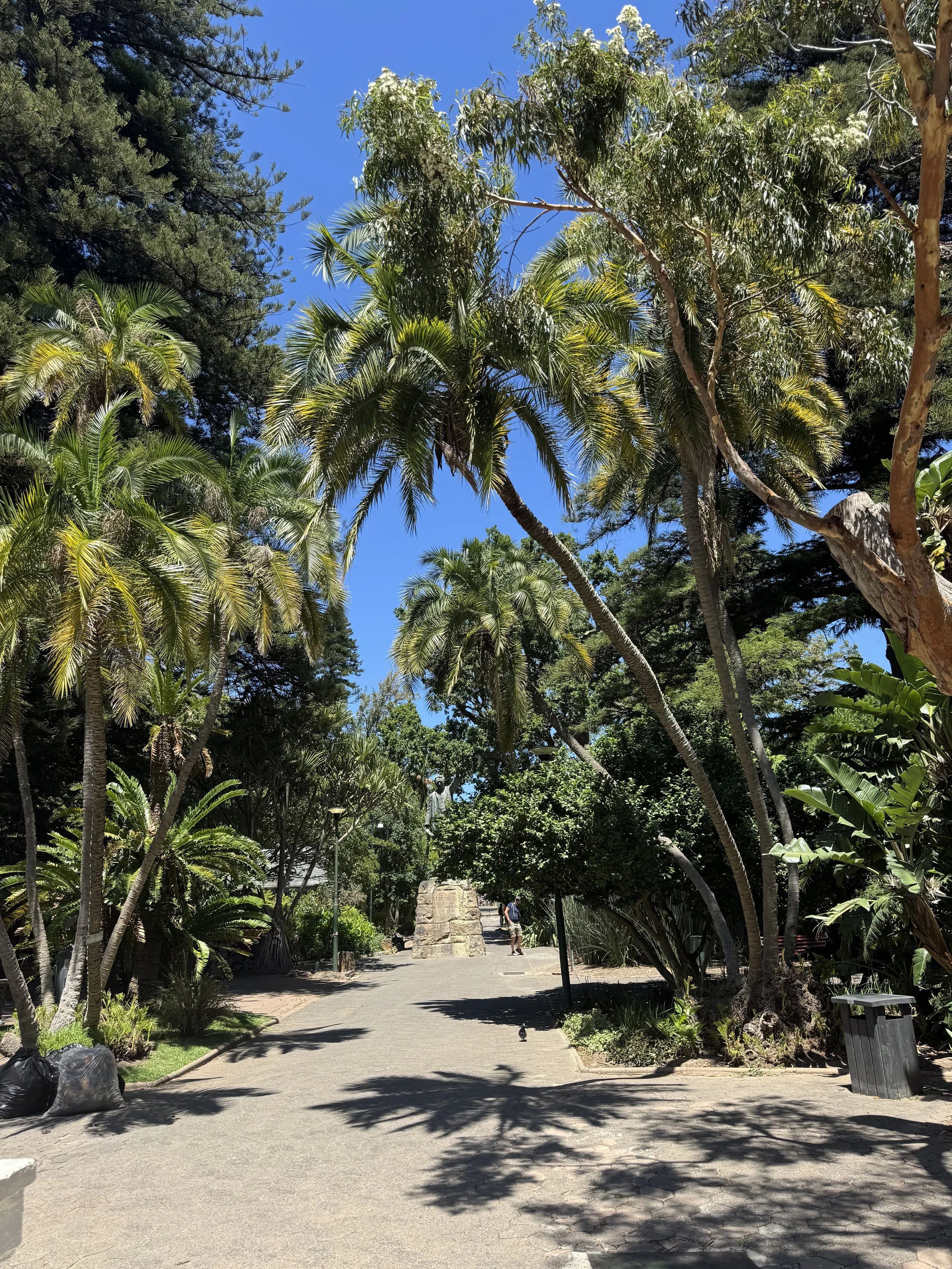 CompanysGarden_CapeTown.jpg
