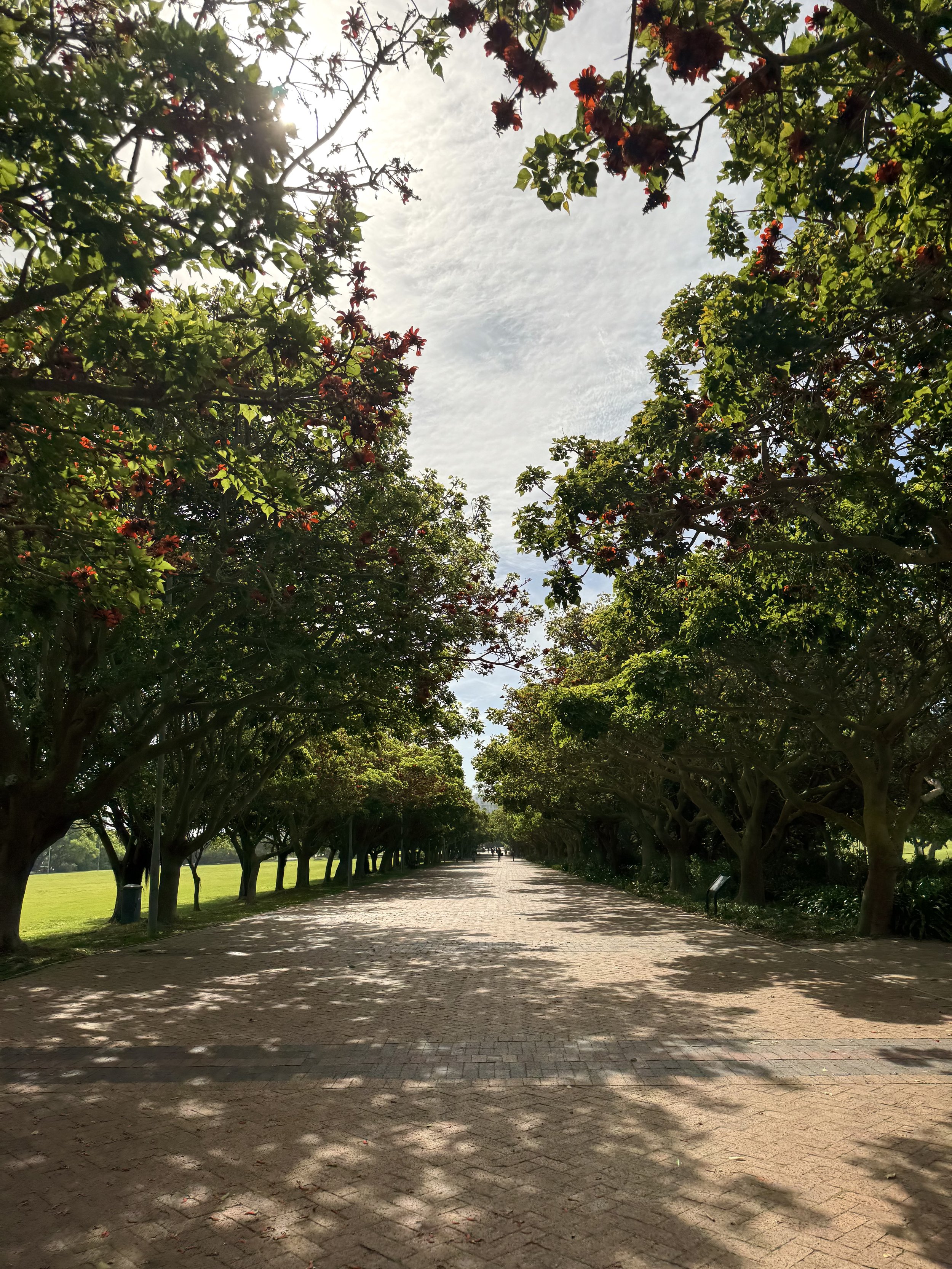 GreenPoint_Park_CT.jpg