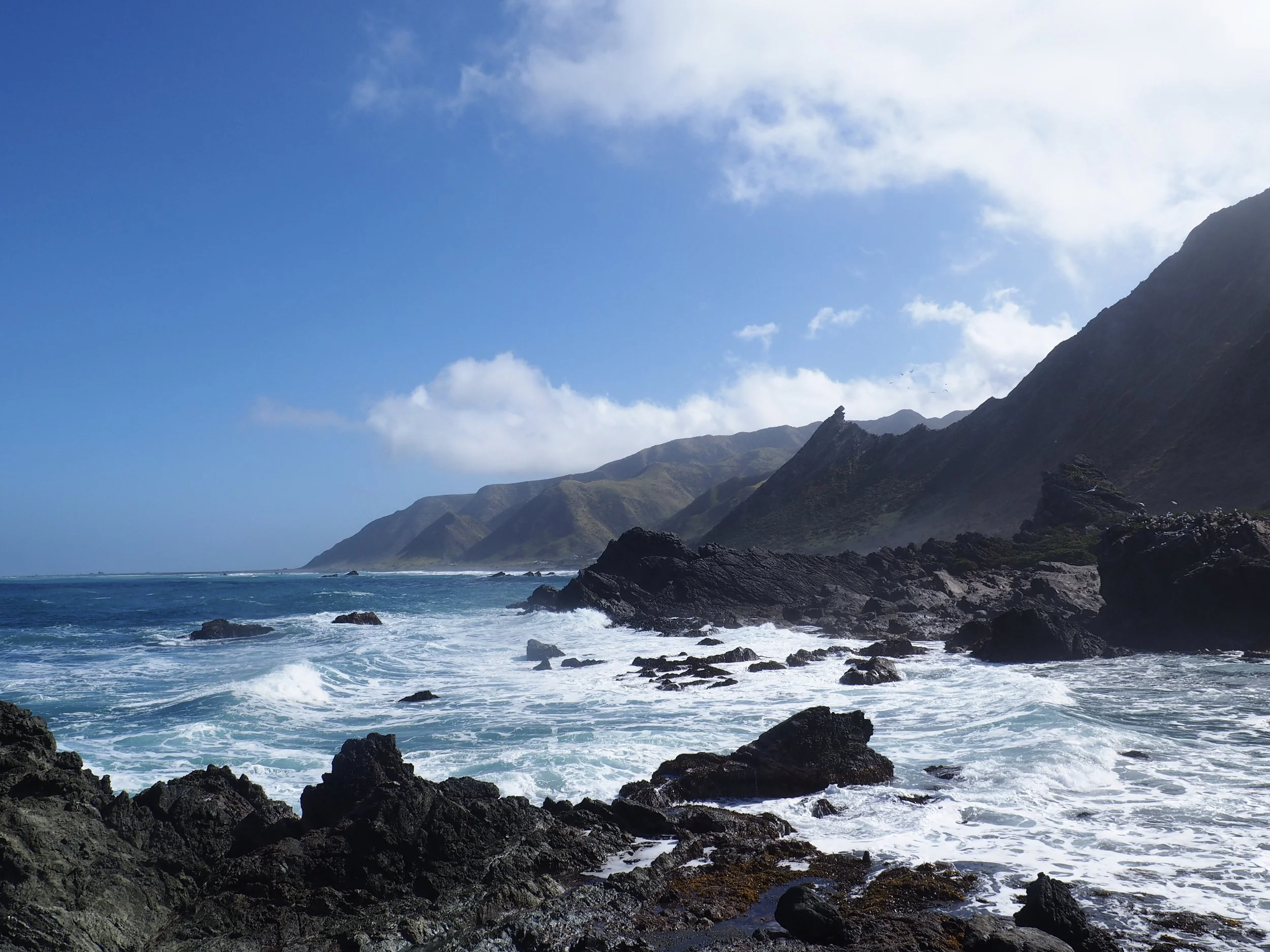 Cape Palliser