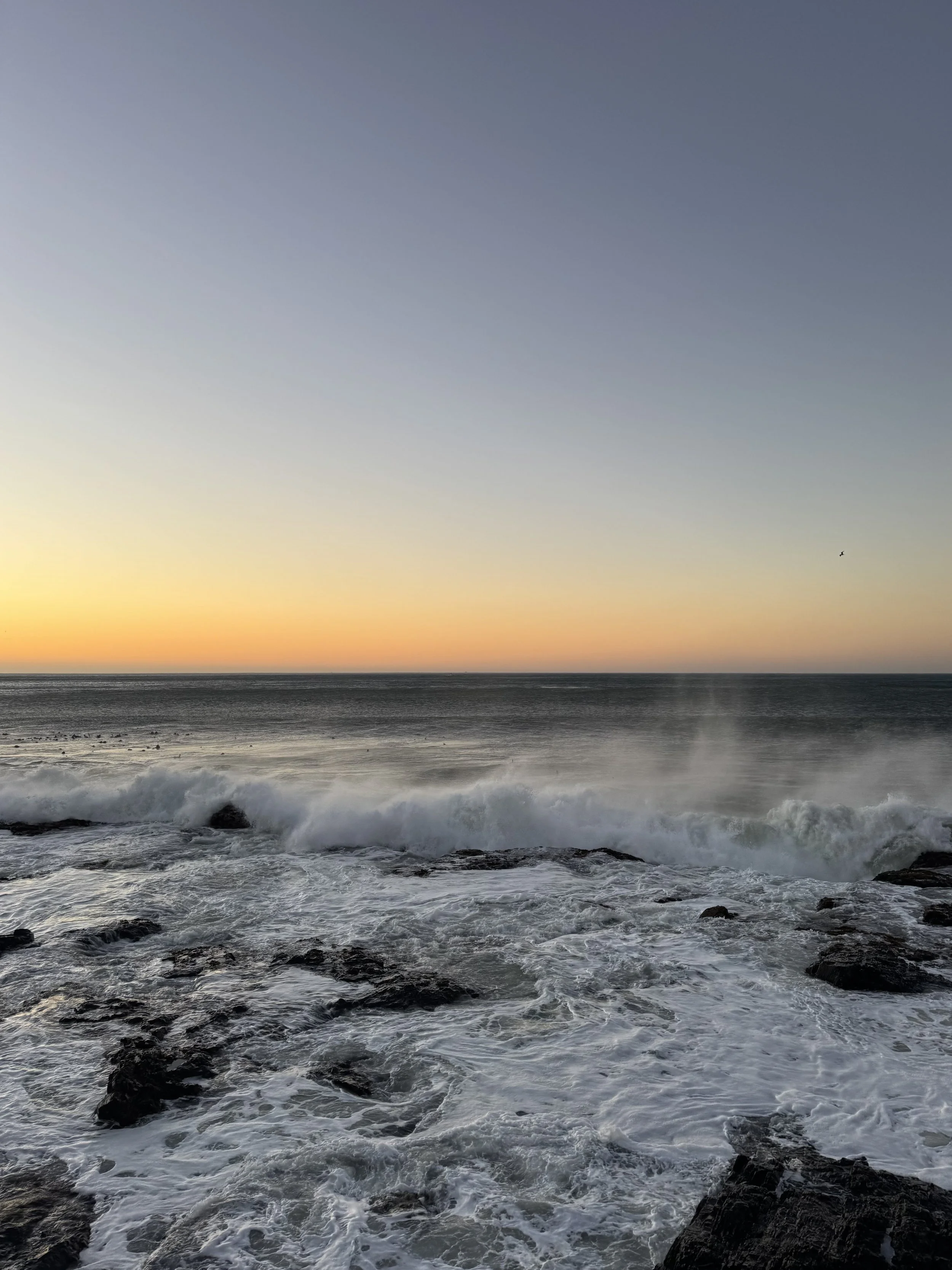 SeaPointPromenade_CapeTown_Sunset1.jpg