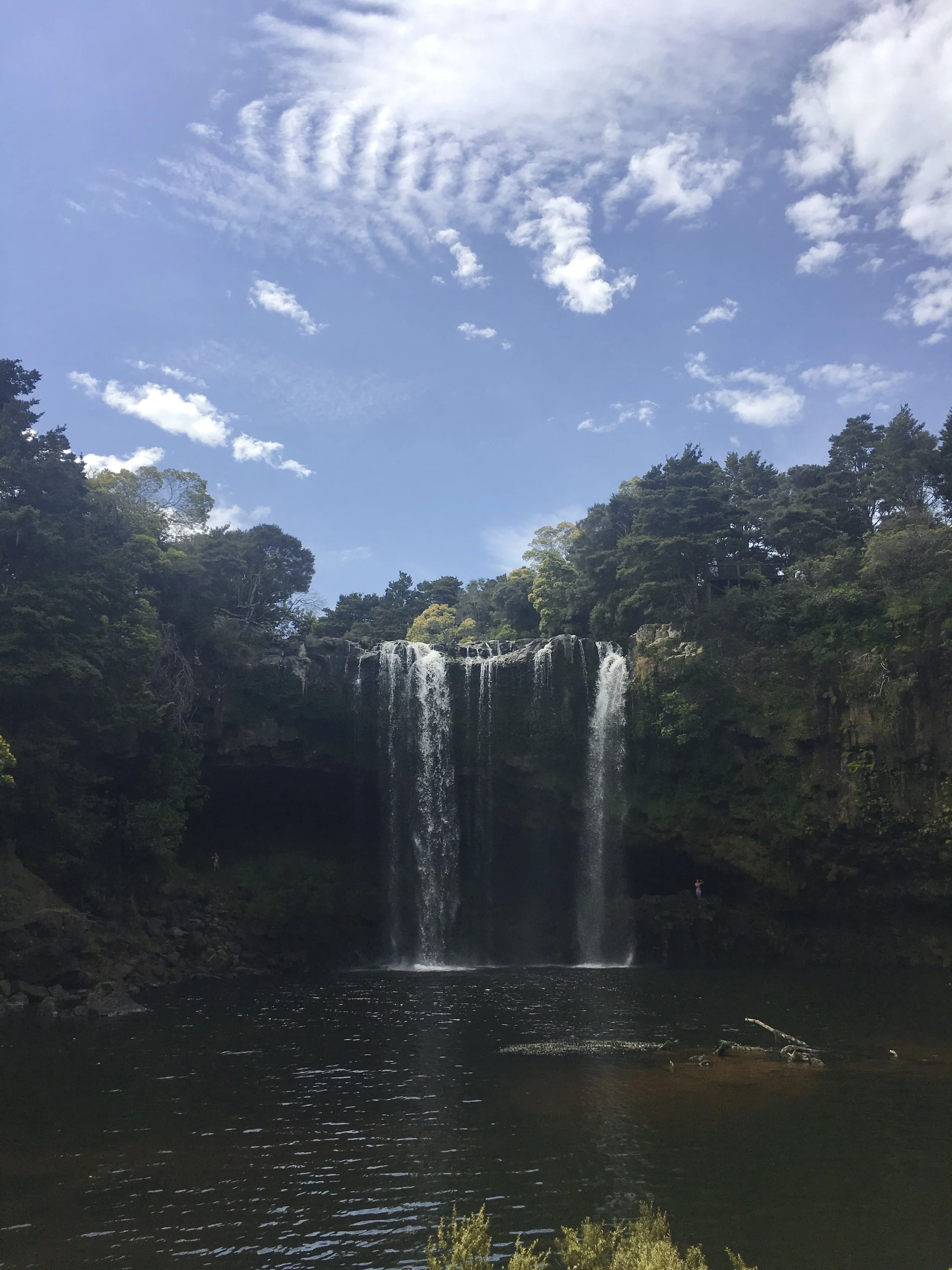 Rainbow Falls in Kerikeri