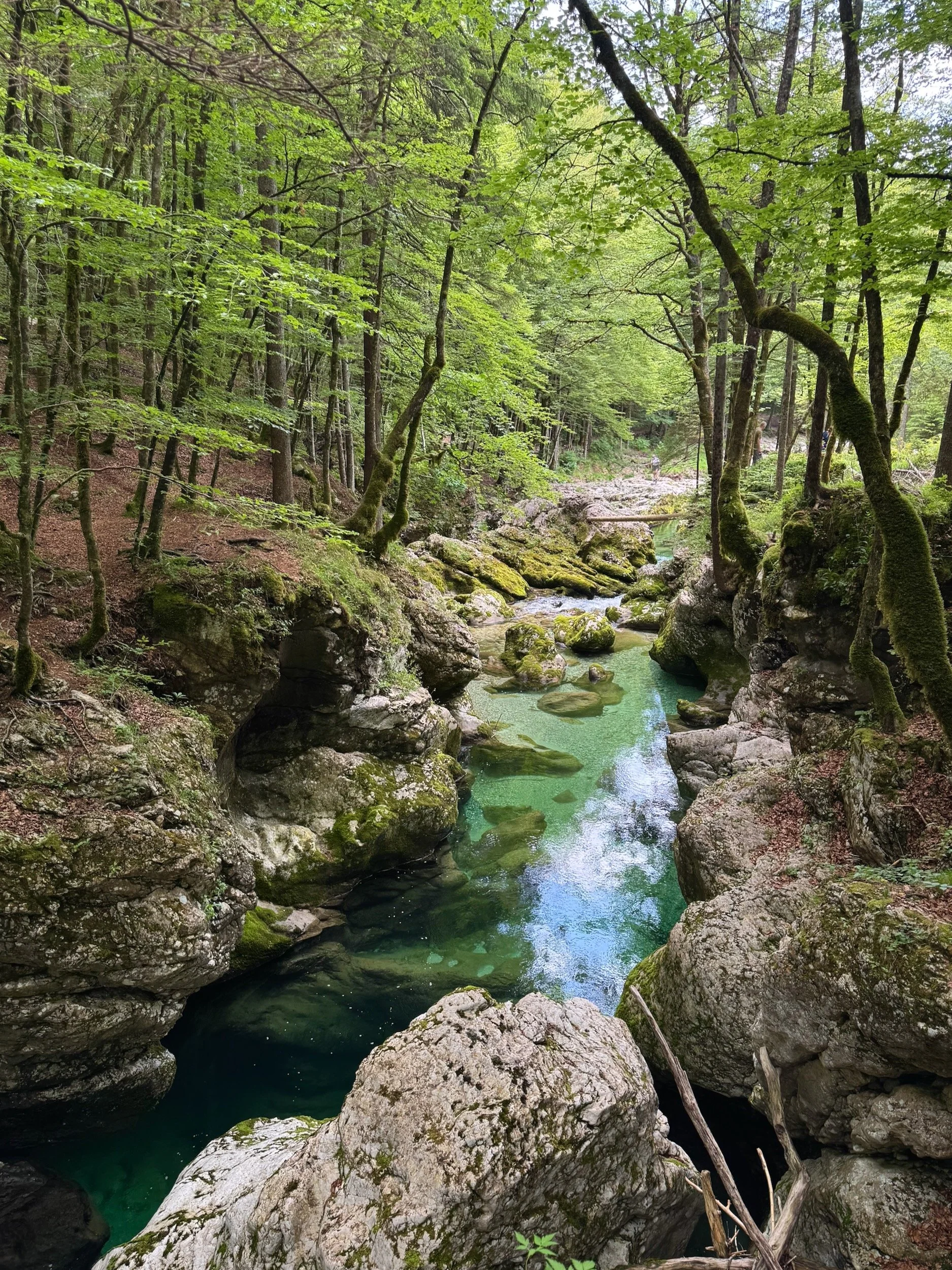 Bohinj-Slovenia-Mostnica Gorge-72.jpeg