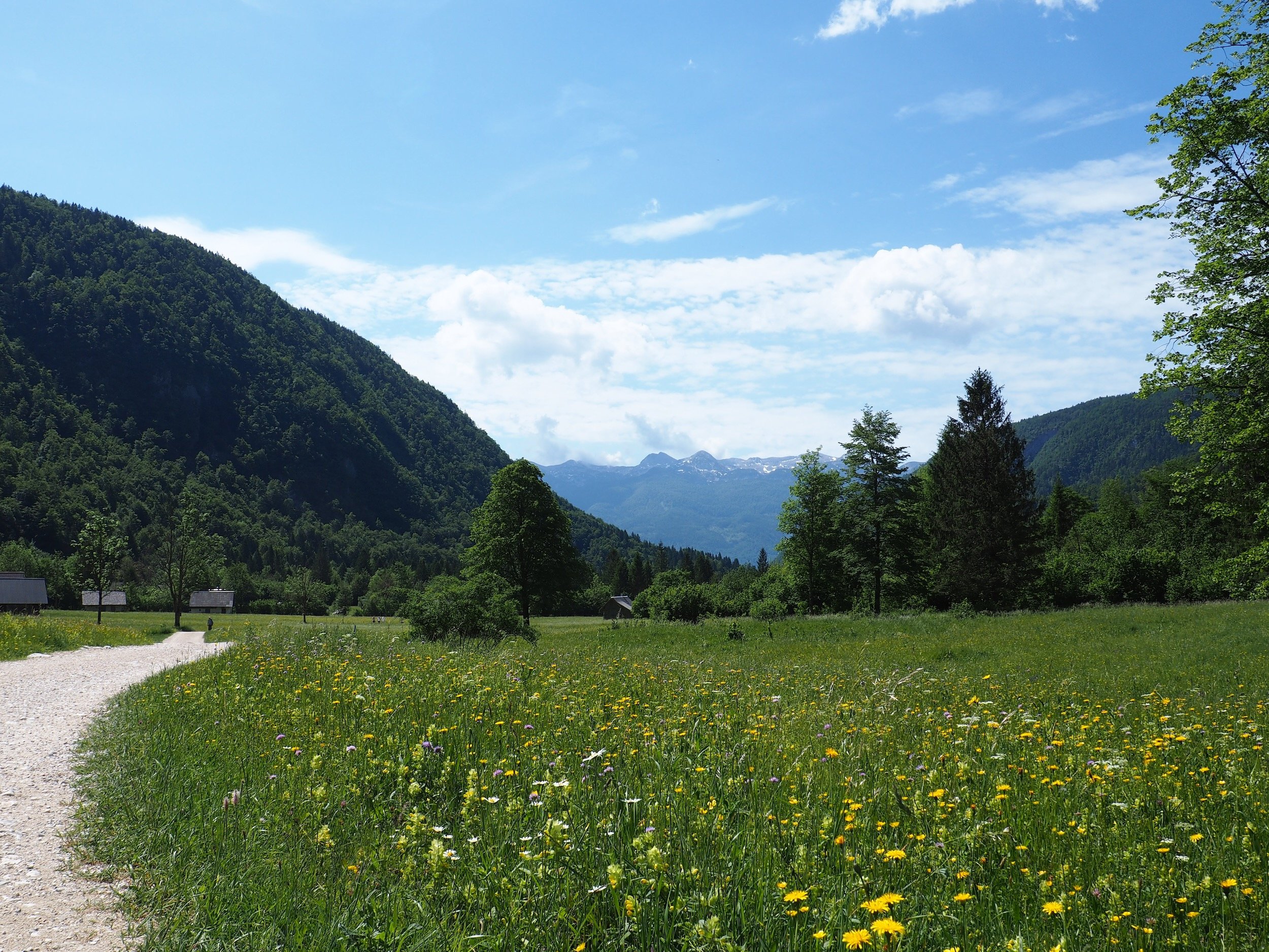 Bohinj-Slovenia-Mostnica Gorge-73.jpeg