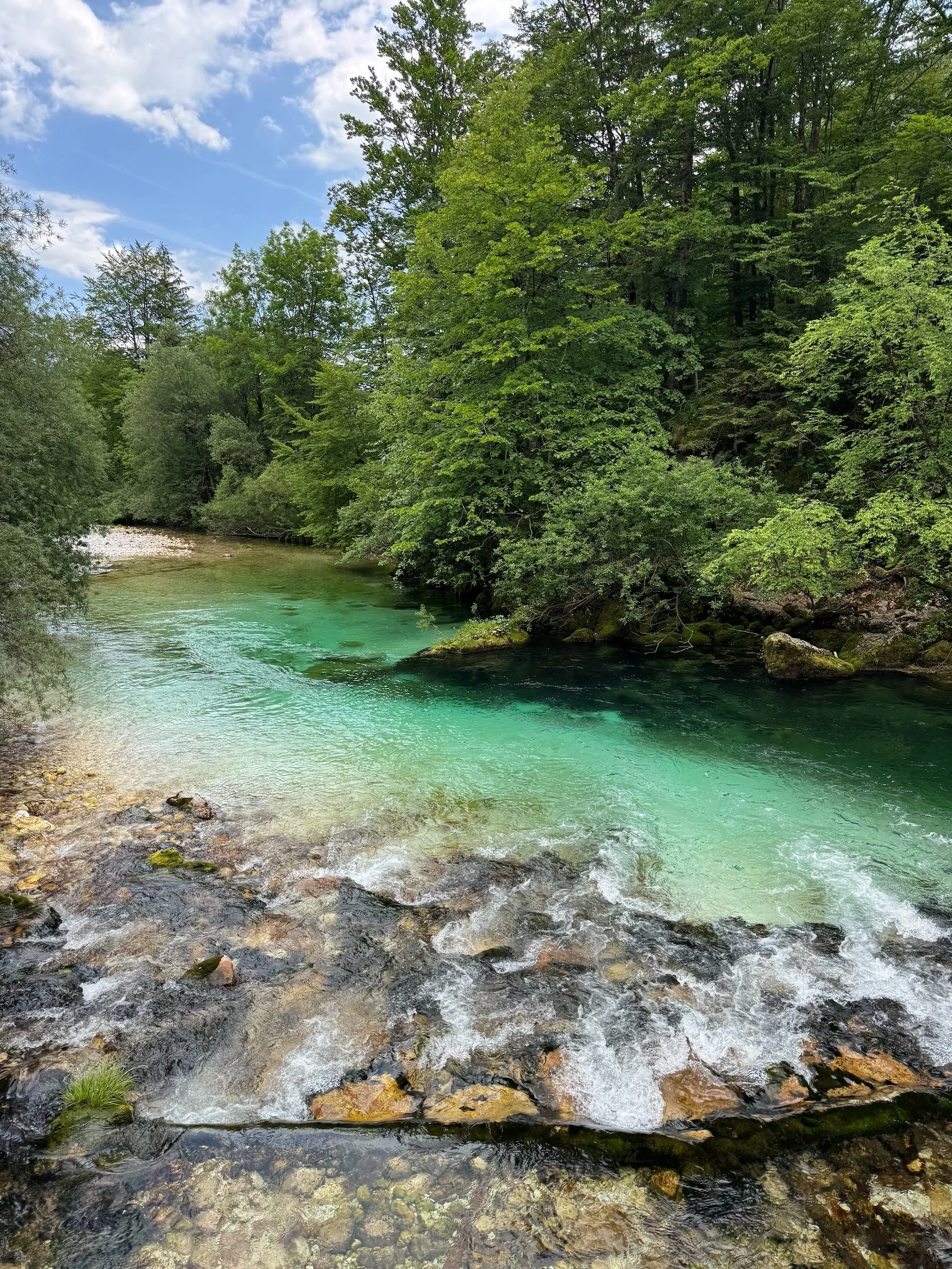 Bohinj-Slovenia-85.jpeg