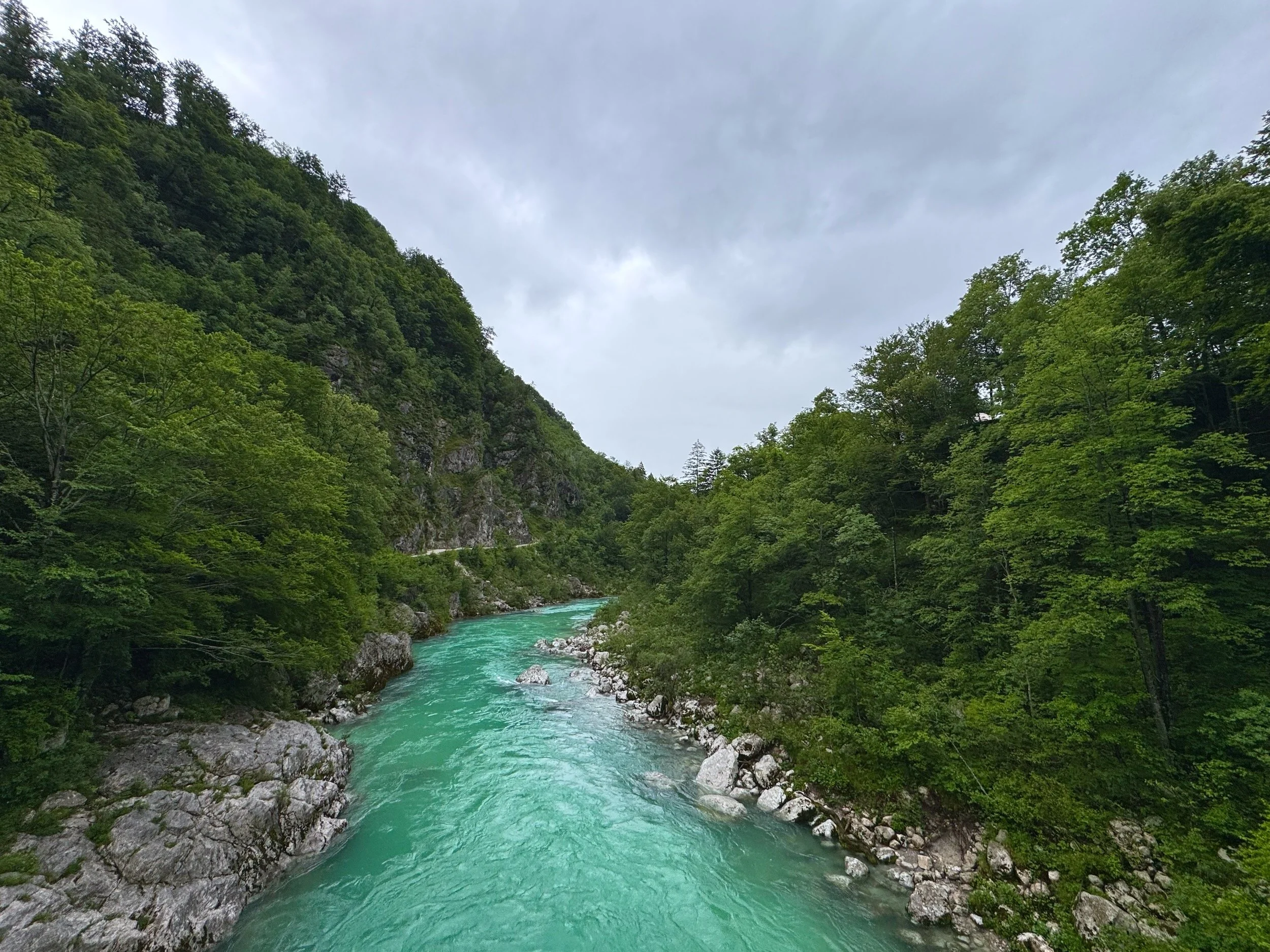 Turquoise Soča River flowing between forested rock banks