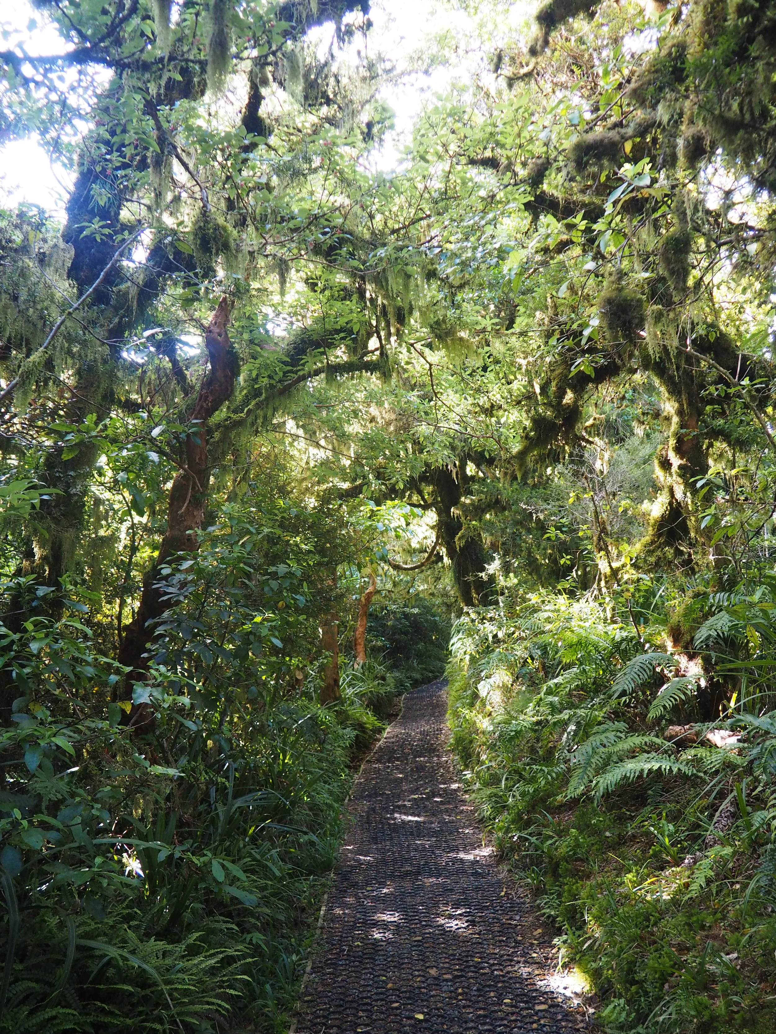 P1195430.JPG
