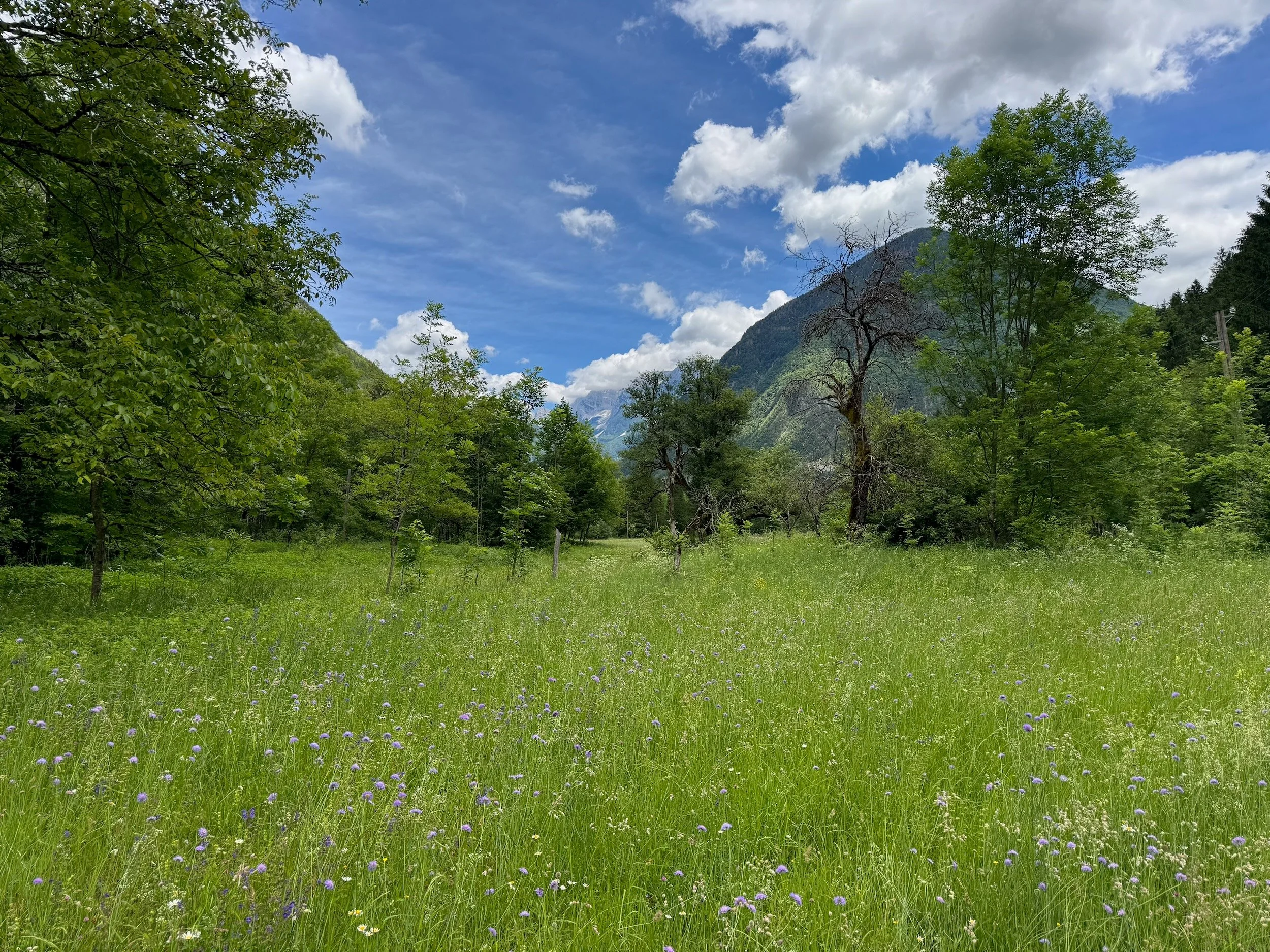 Soča-Valley-Slovenia-110.jpeg