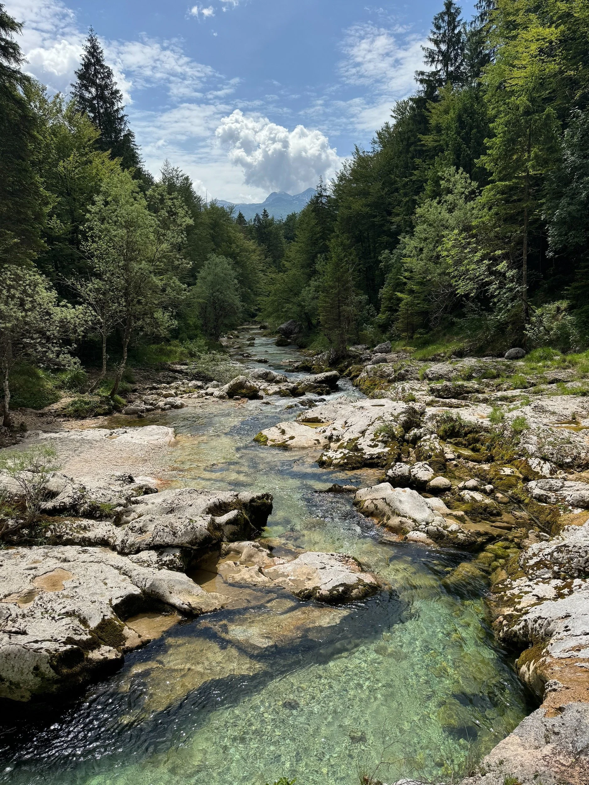 Bohinj-Slovenia-Mostnica Gorge-78.jpeg