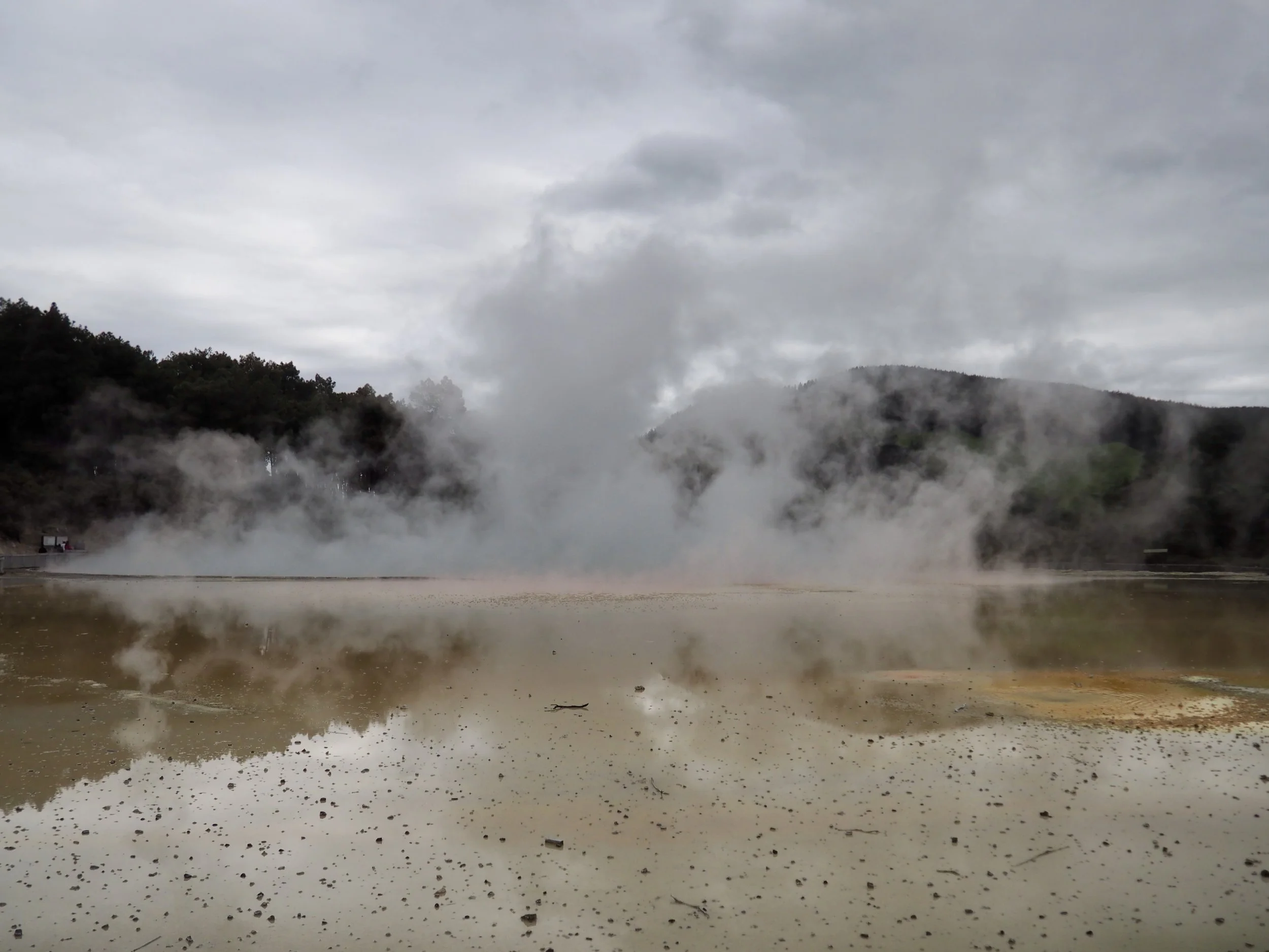 PA168529.JPG