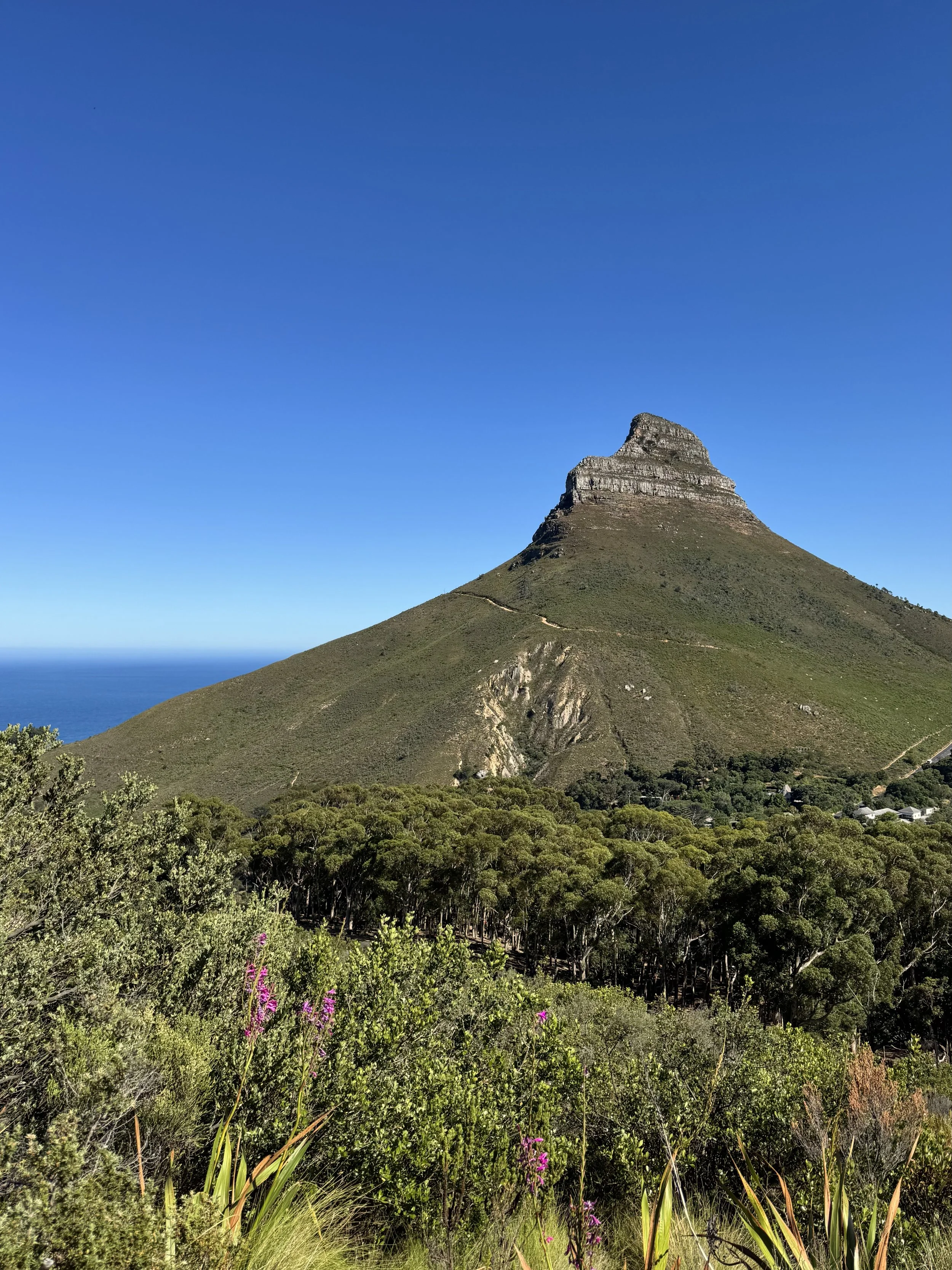 Kloof_Corner_CapeTown.jpg