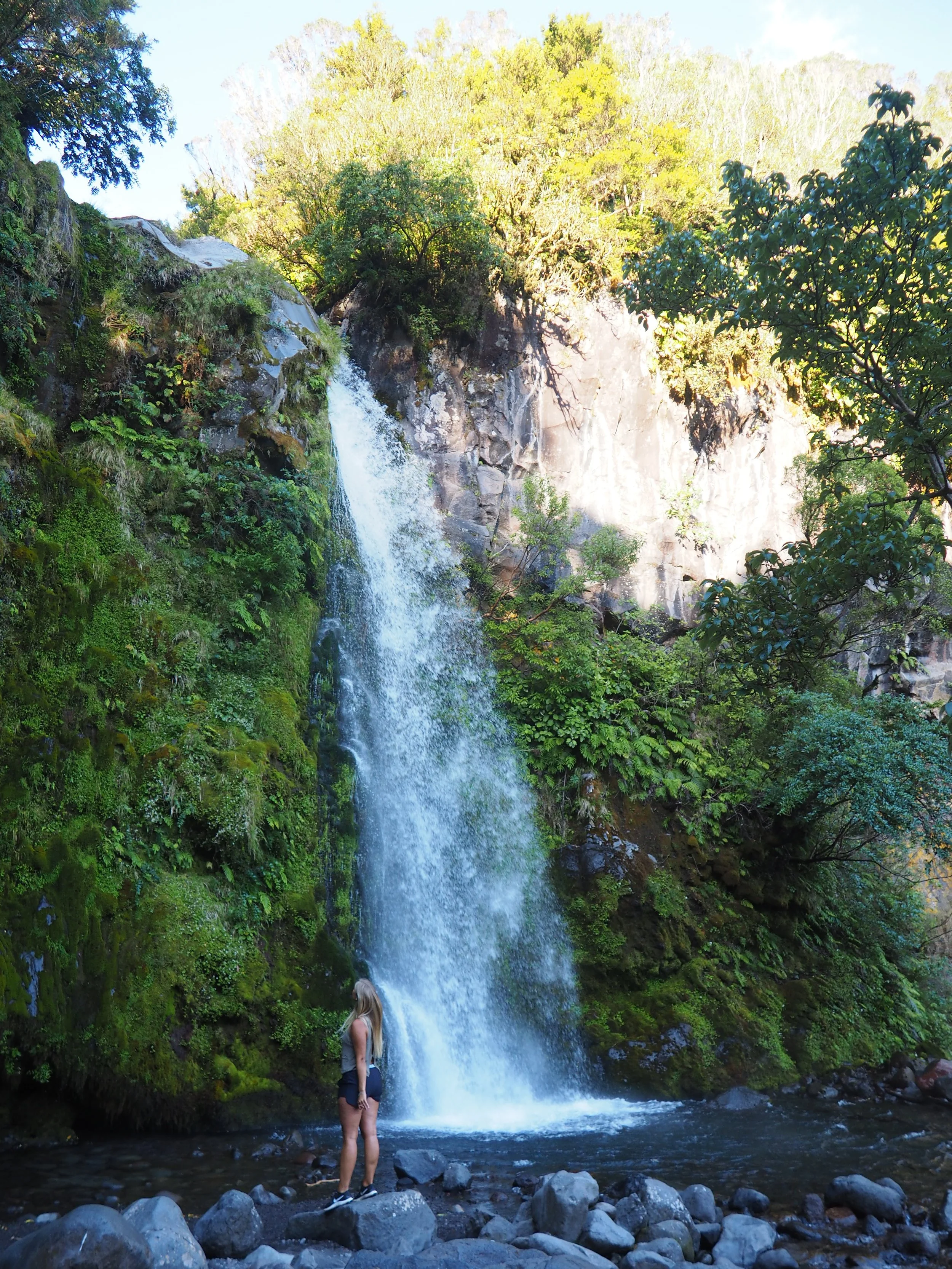 P1195453.JPG