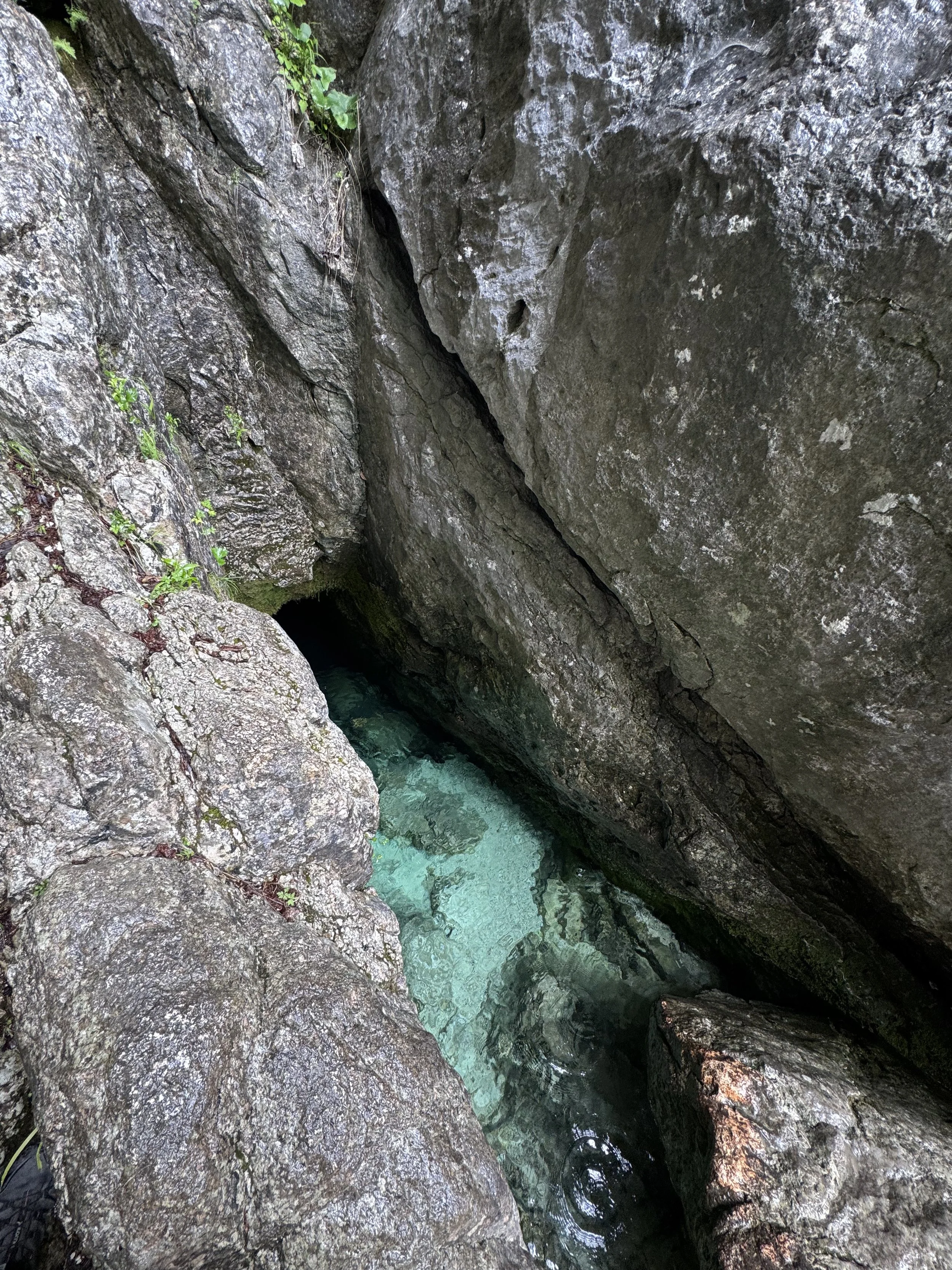 IMG_6836.jpg