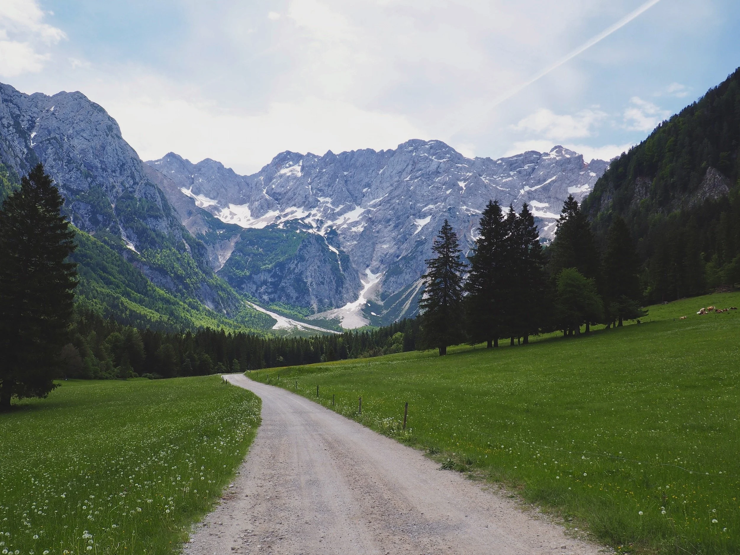 valley view of the mountains in Planšarsko-Jezero-Slovenia