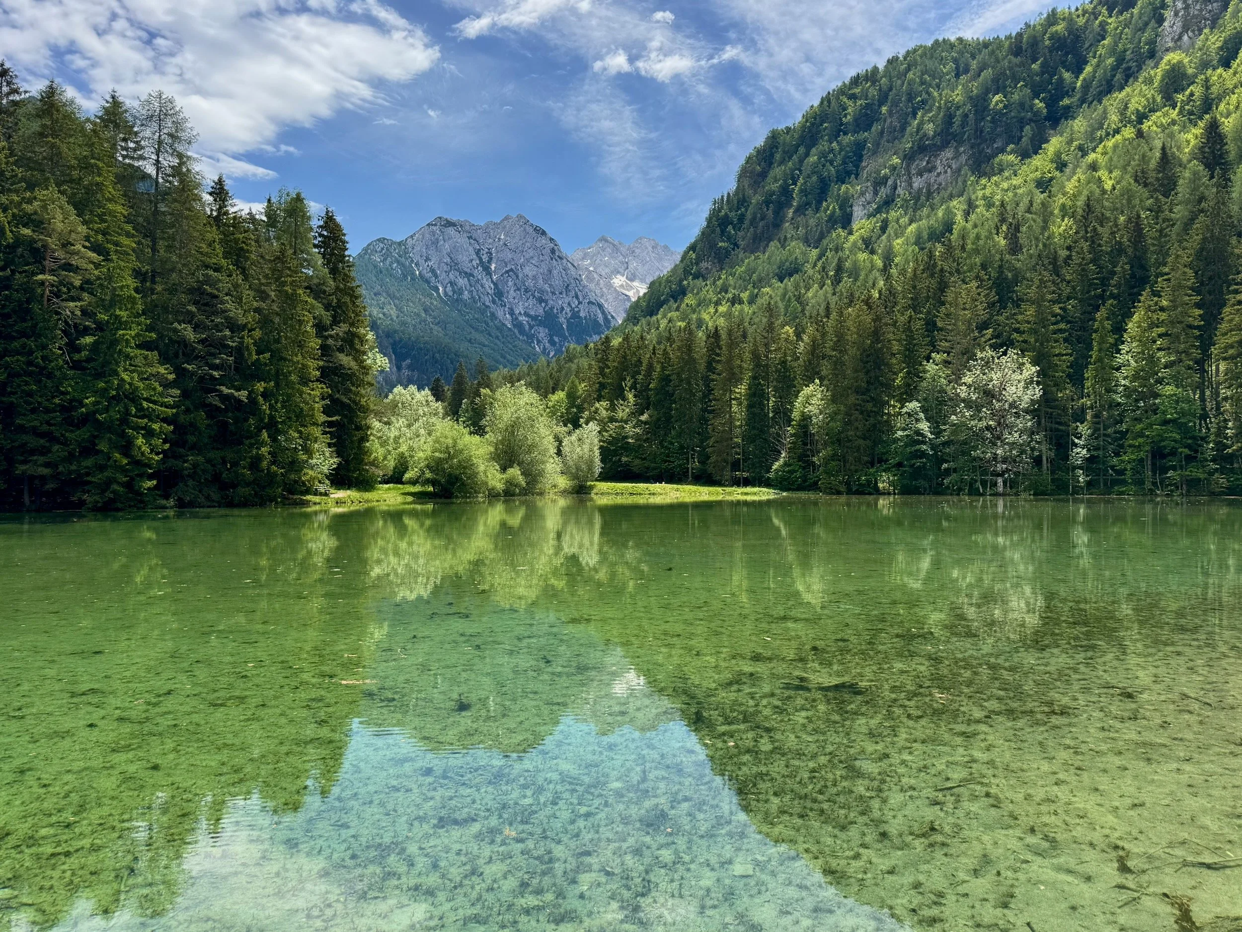 Planšarsko-Jezero-Slovenia-63.jpeg