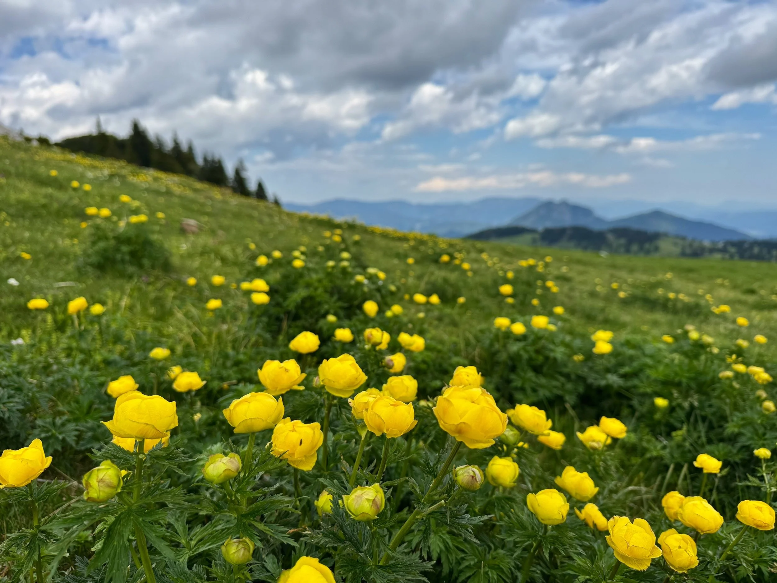 Velika-Planina-Slovenia-39.jpeg