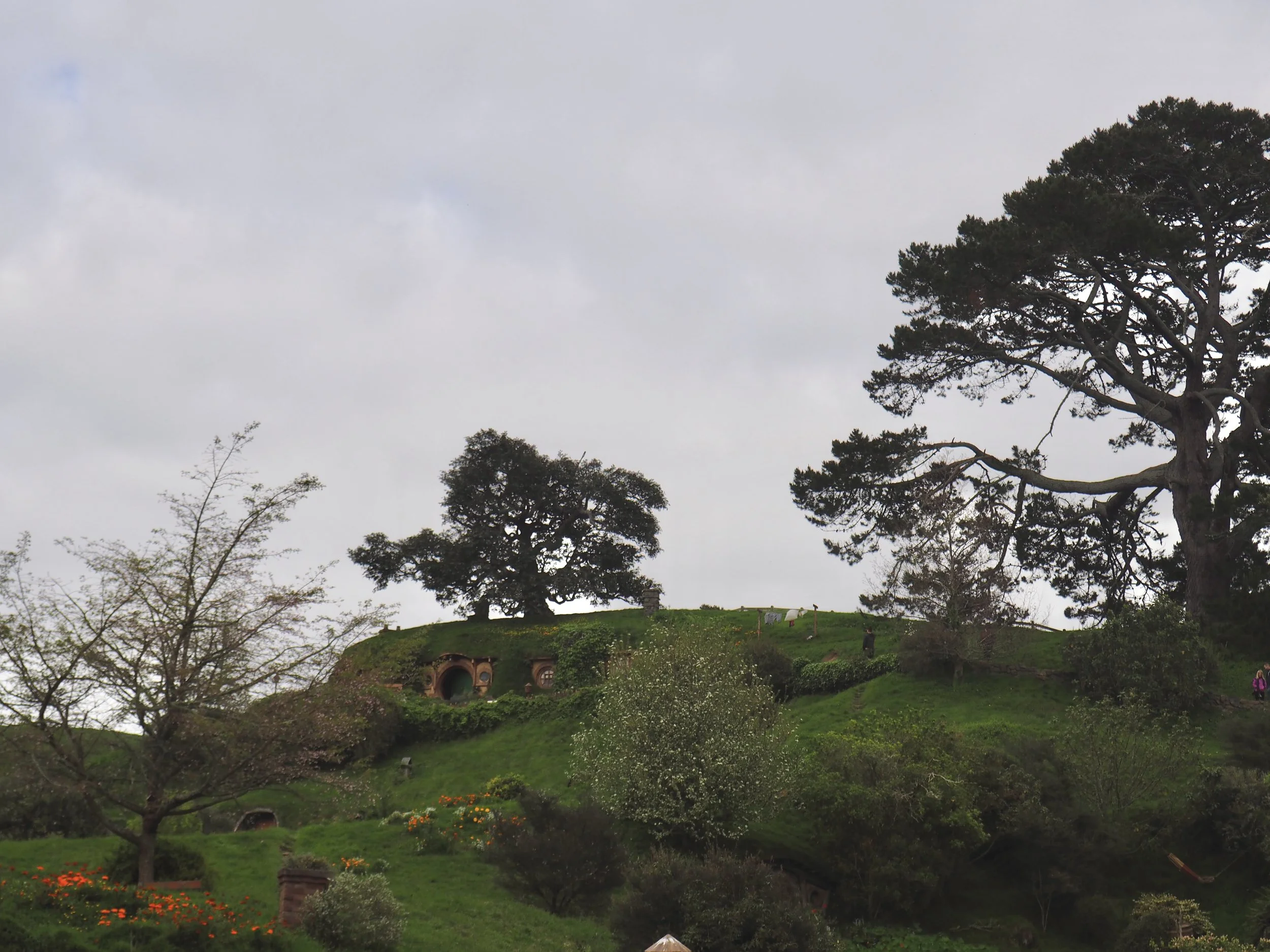 PA178557.JPG