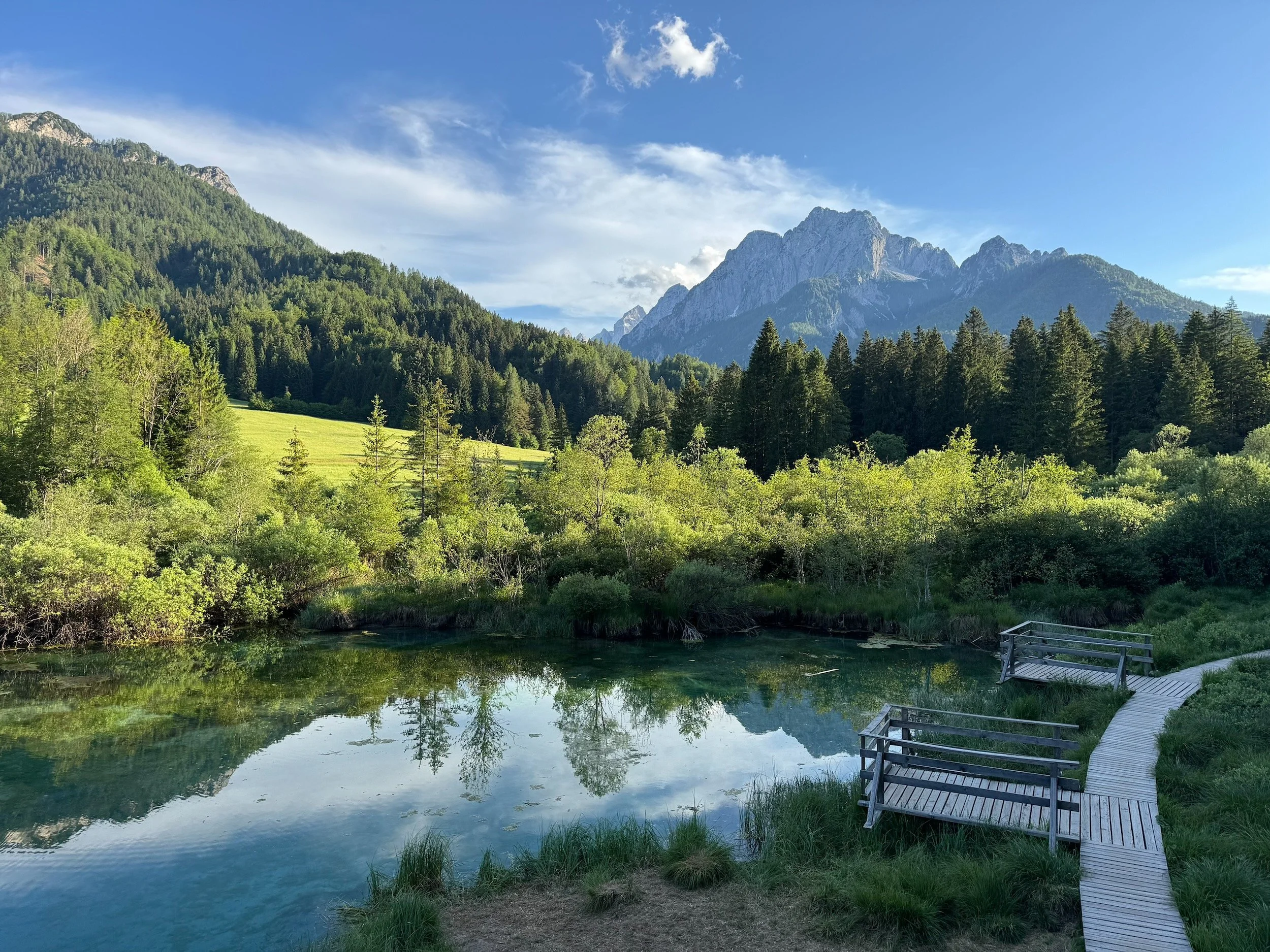 Zelenci-Nature-Reserve-Slovenia-159.jpeg