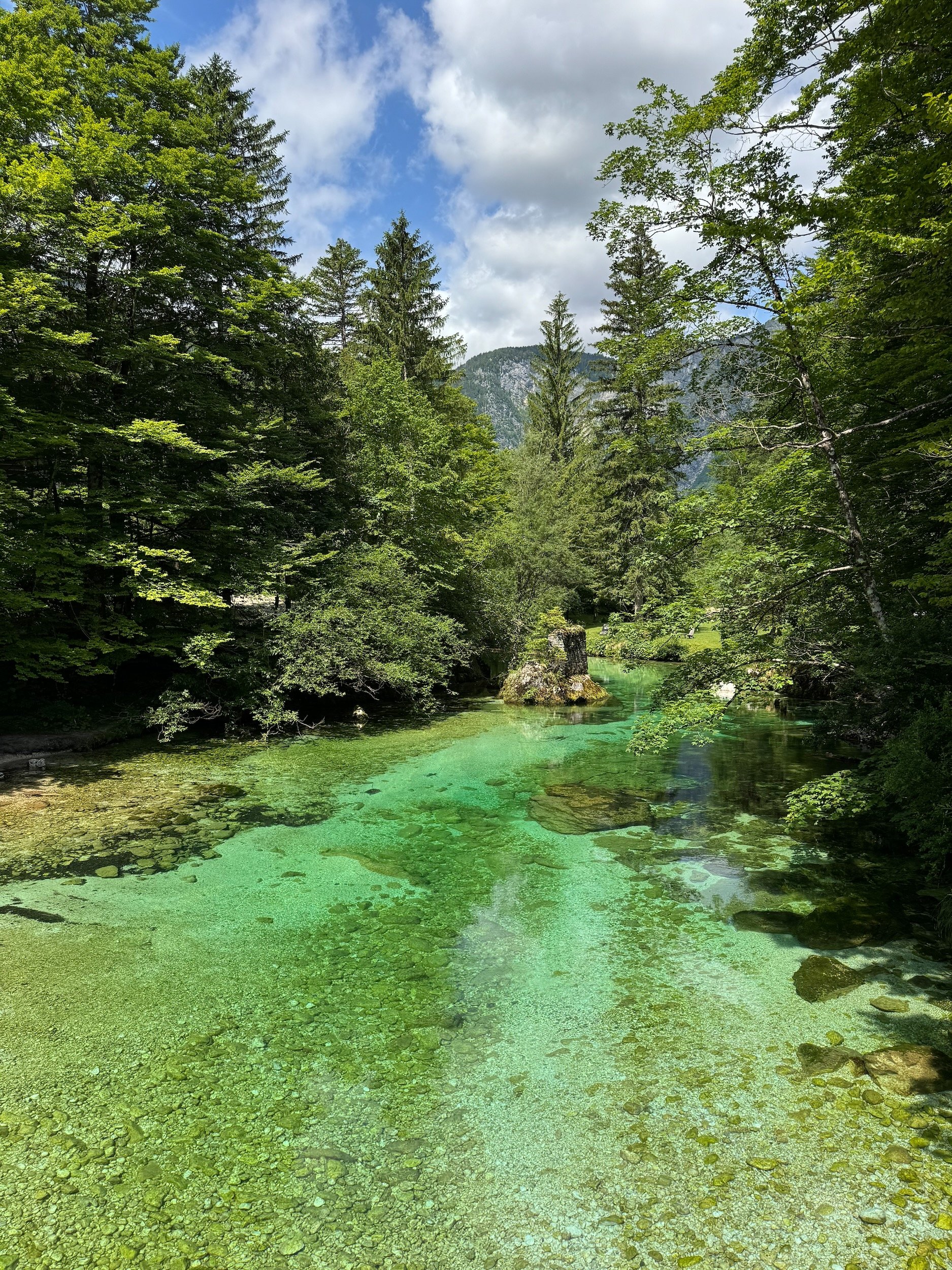 Savica River flowing through green forest near Lake Bohinj