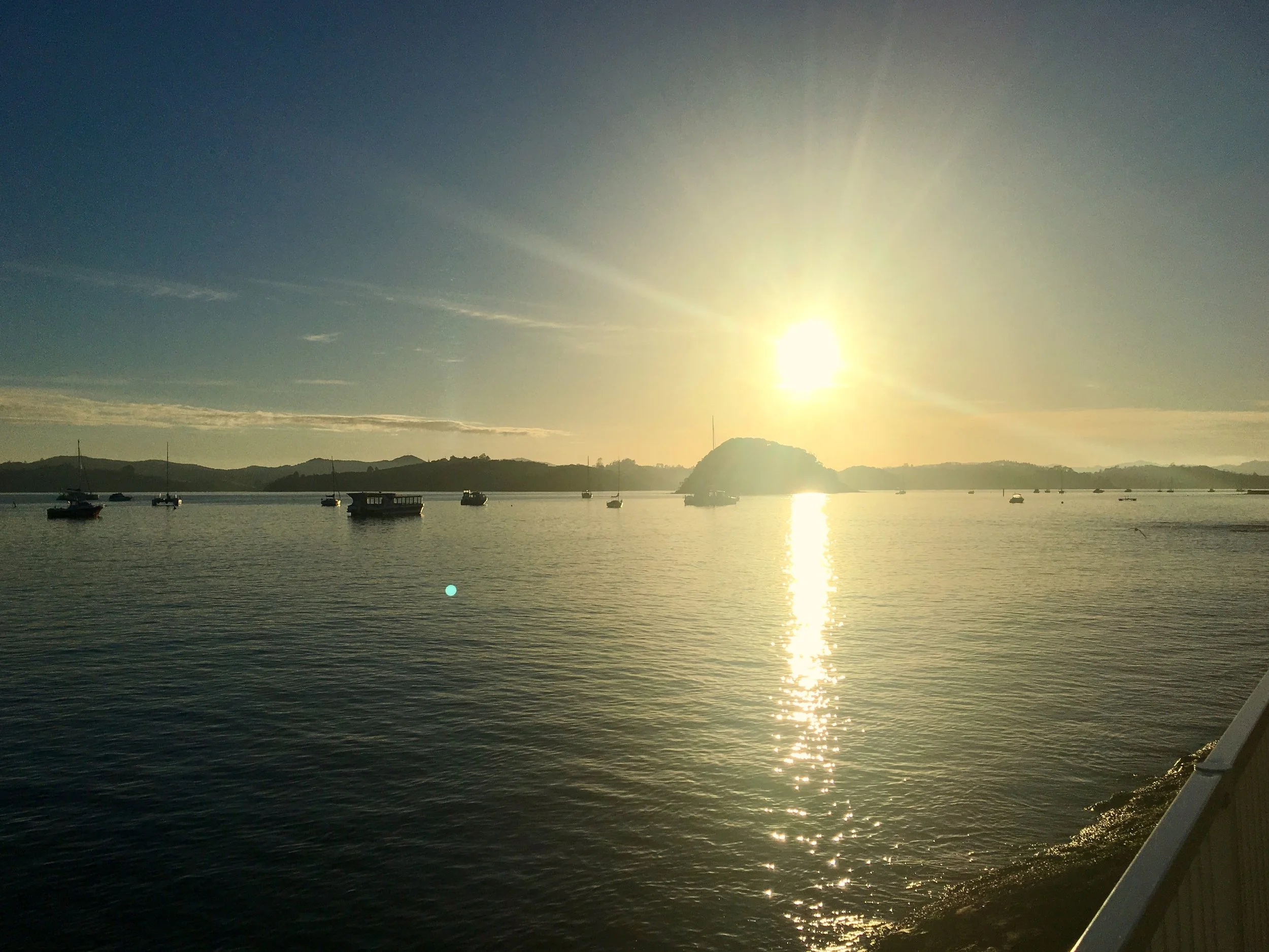 Paihia