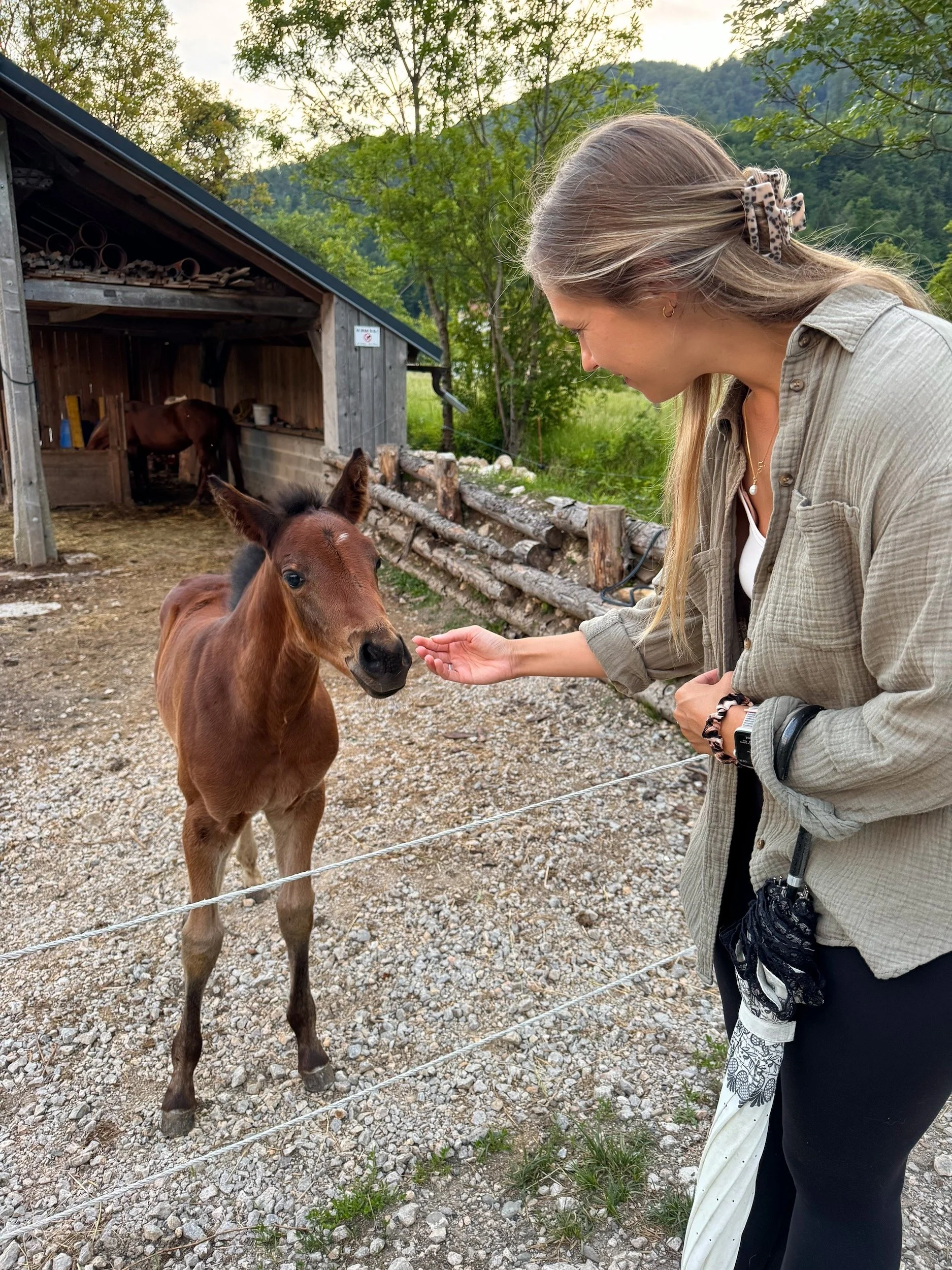 Bohinj-Slovenia-70.jpeg