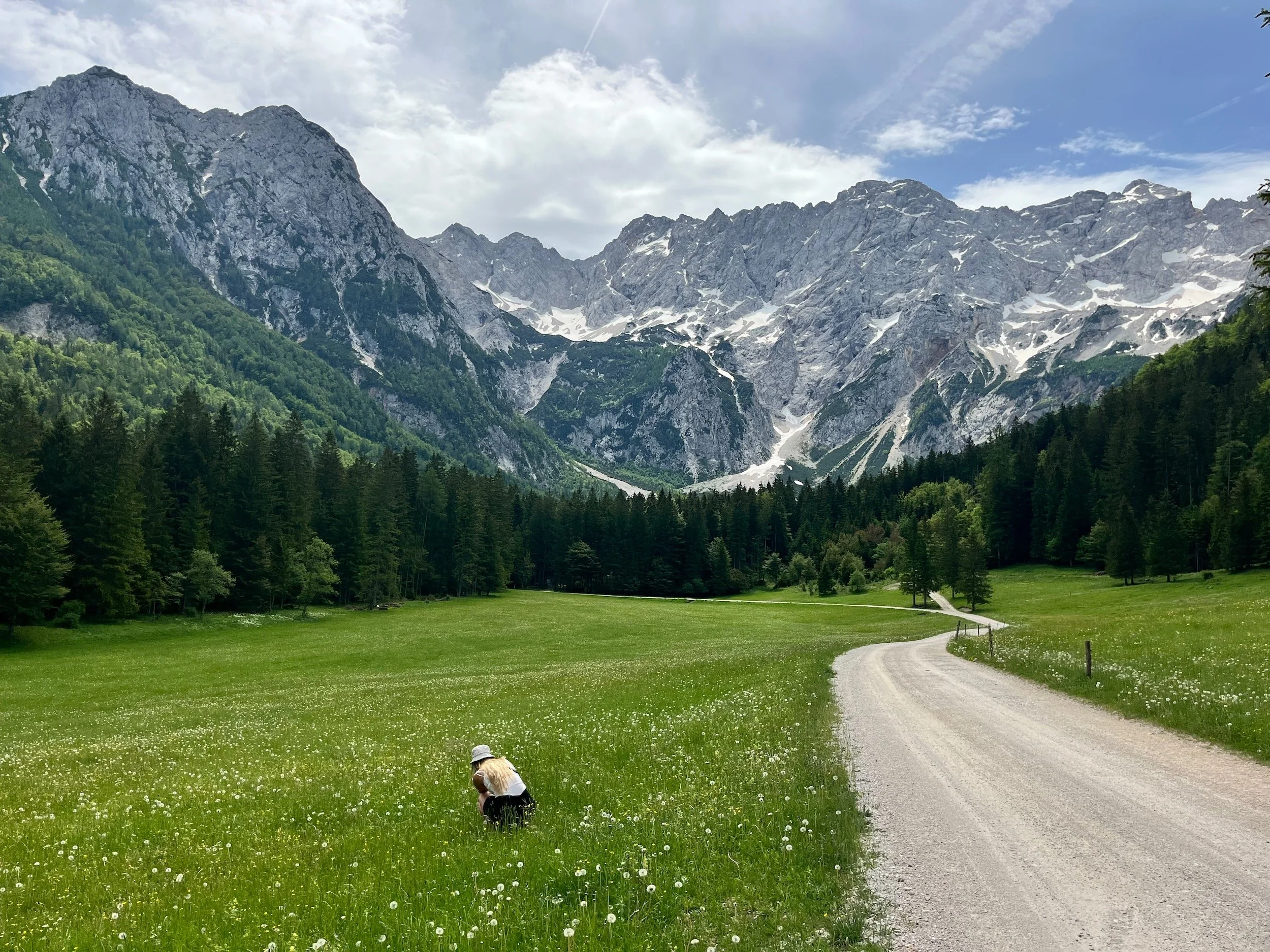 Planšarsko-Jezero-Slovenia-65.jpeg
