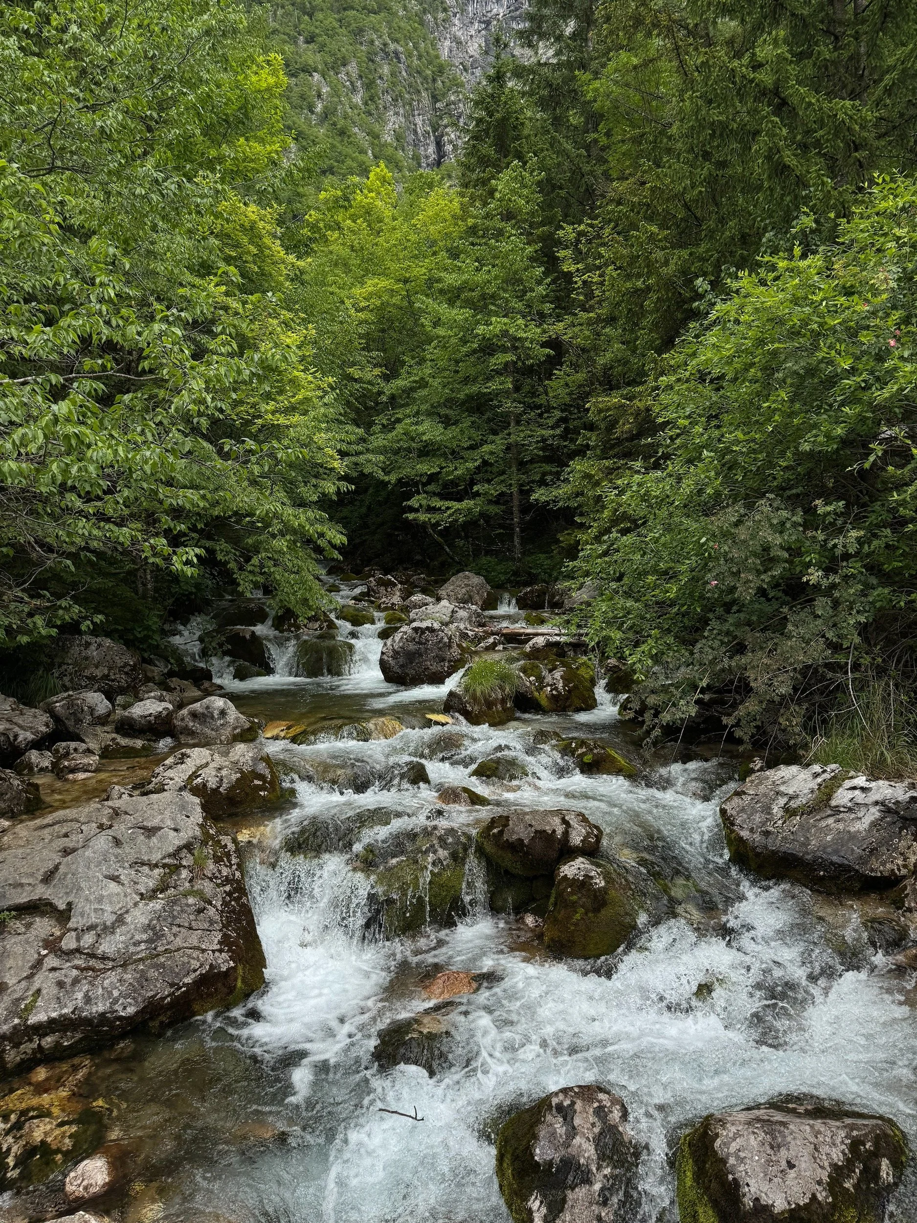 Soča-Valley-Slovenia-Source-129.jpeg