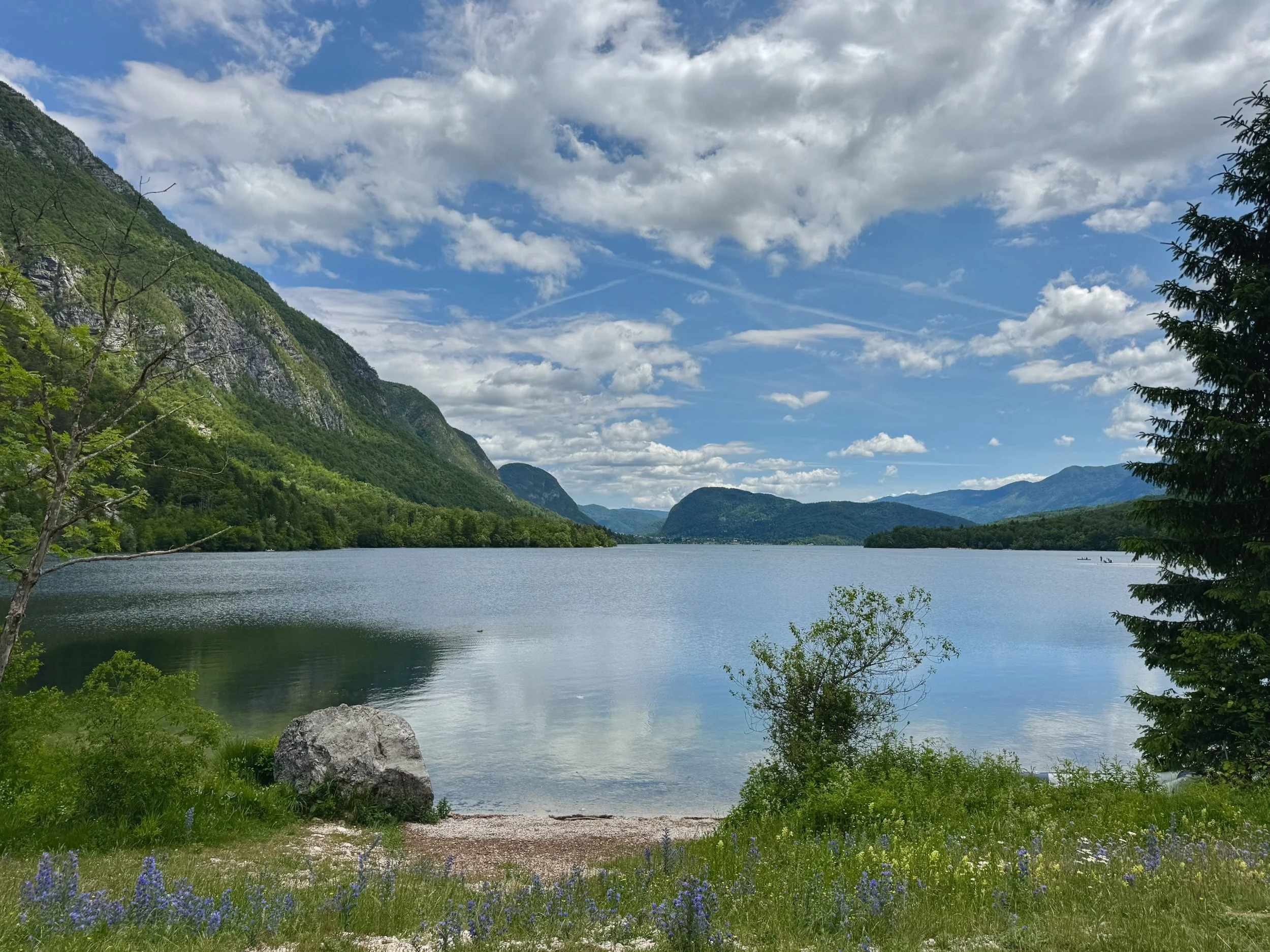 Lake-Bohinj-Slovenia-86.jpeg