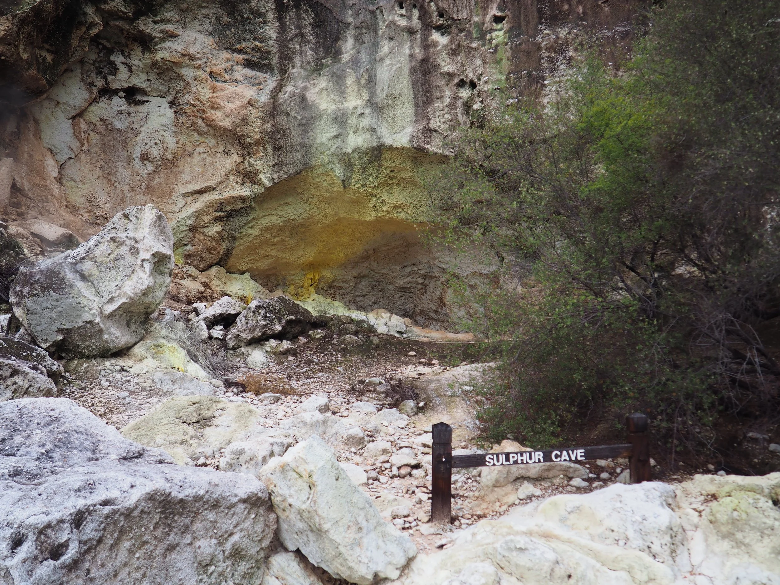 PA168539.JPG
