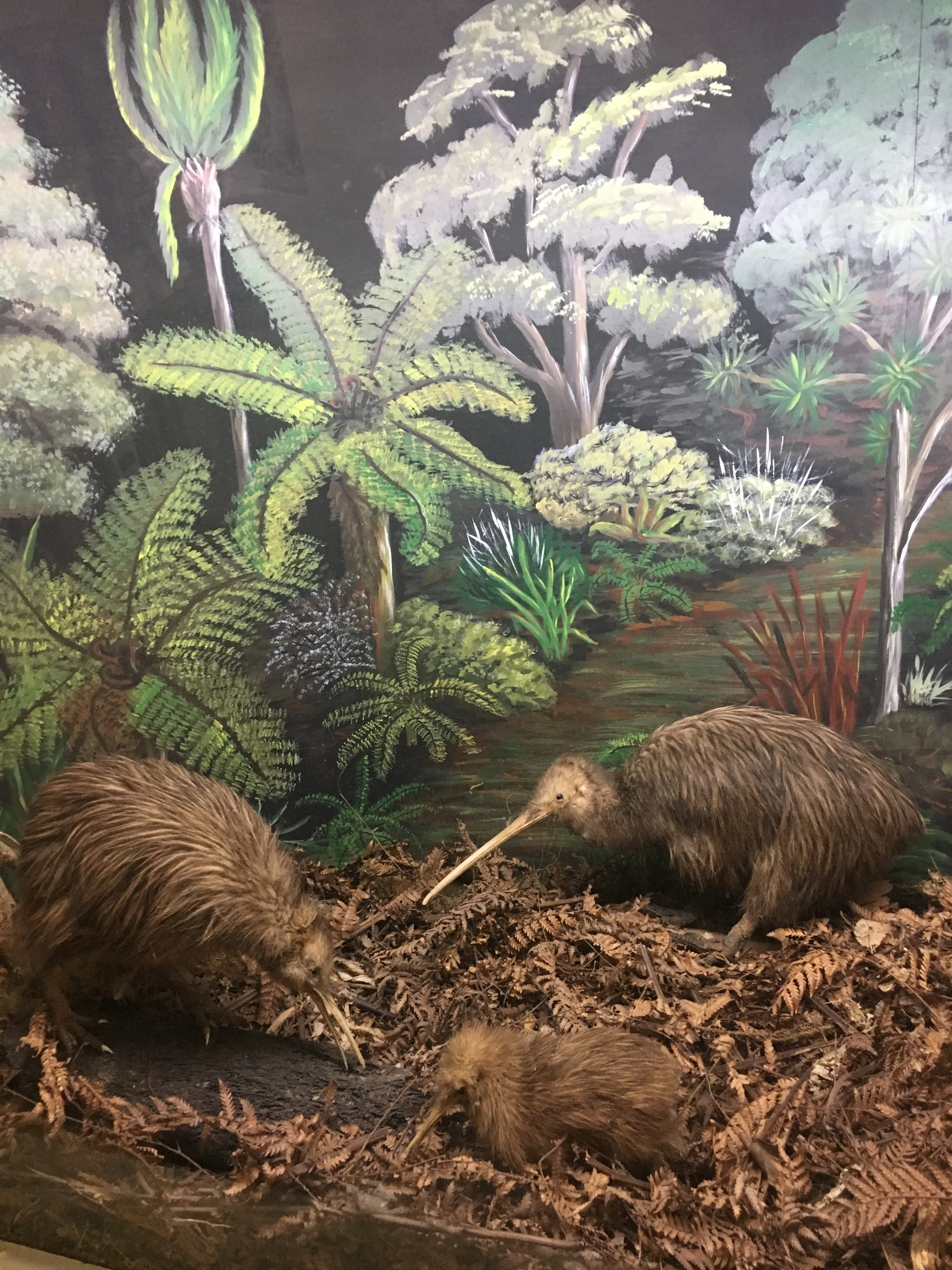 Ōtorohanga Kiwi House