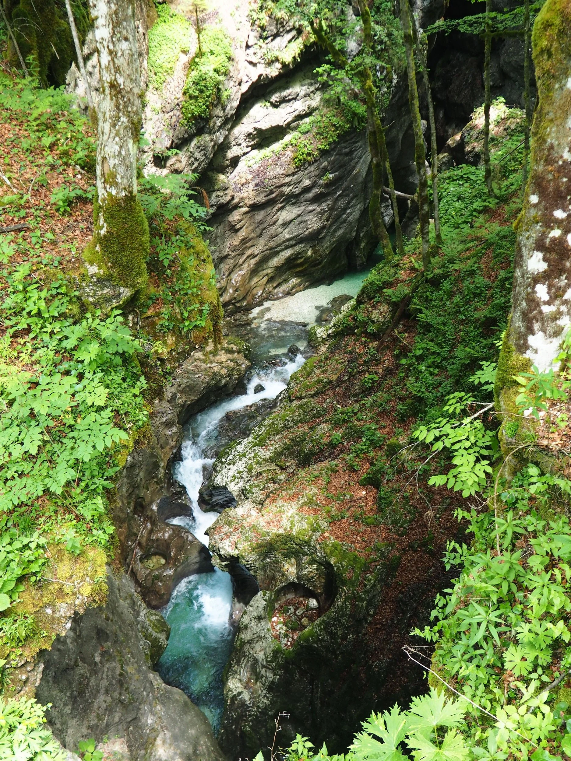 Bohinj-Slovenia-Mostnica Gorge-71.jpeg