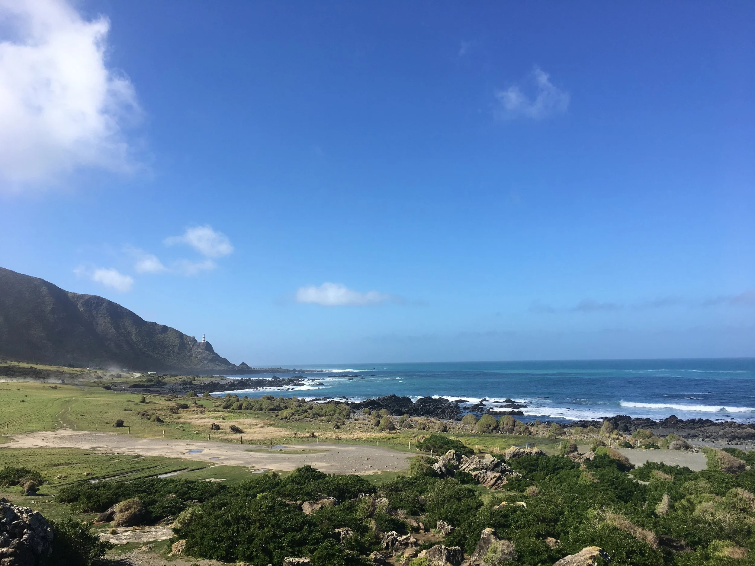 View over Cape Palliser