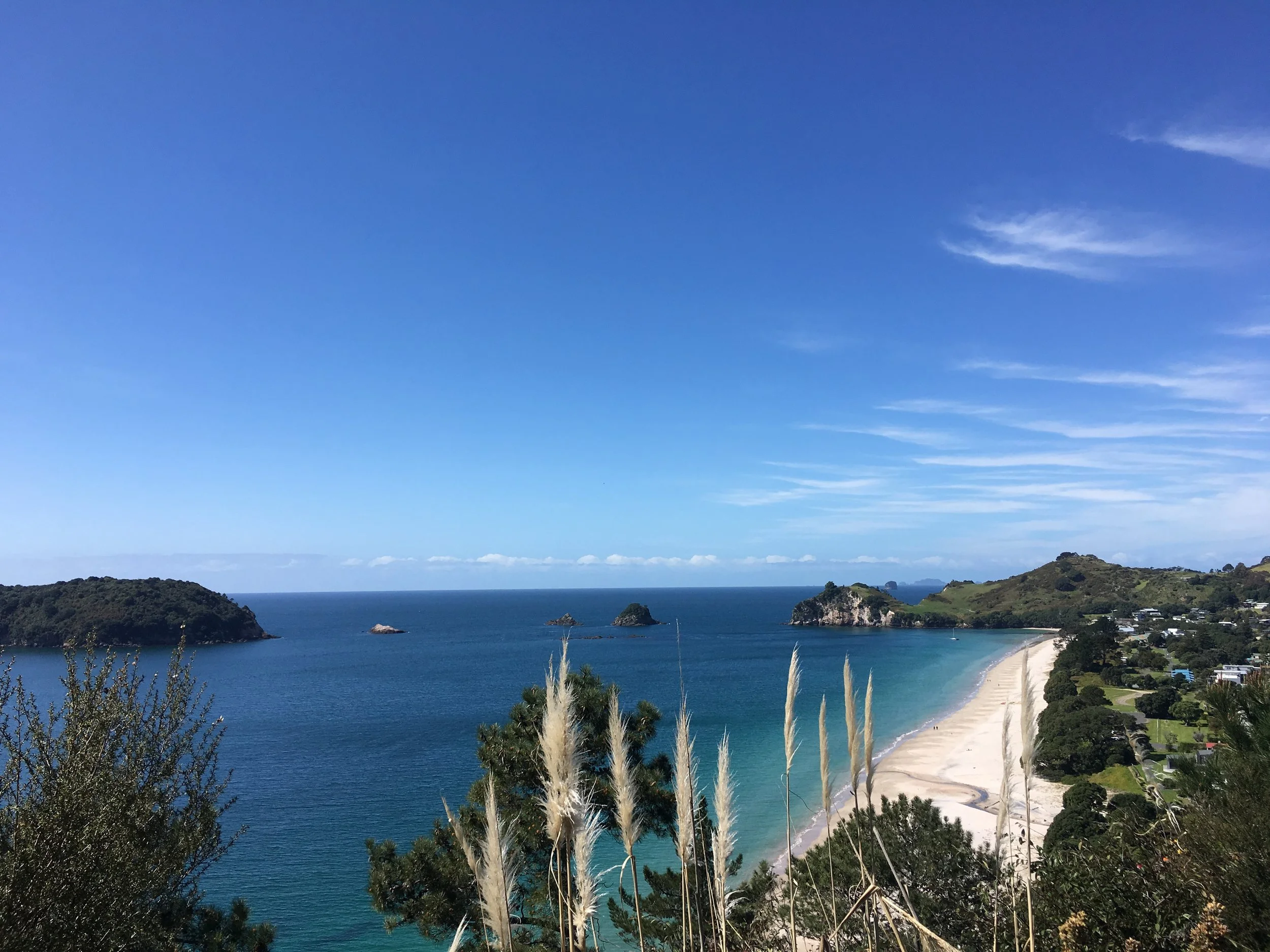 Coastal view in the Coromandel