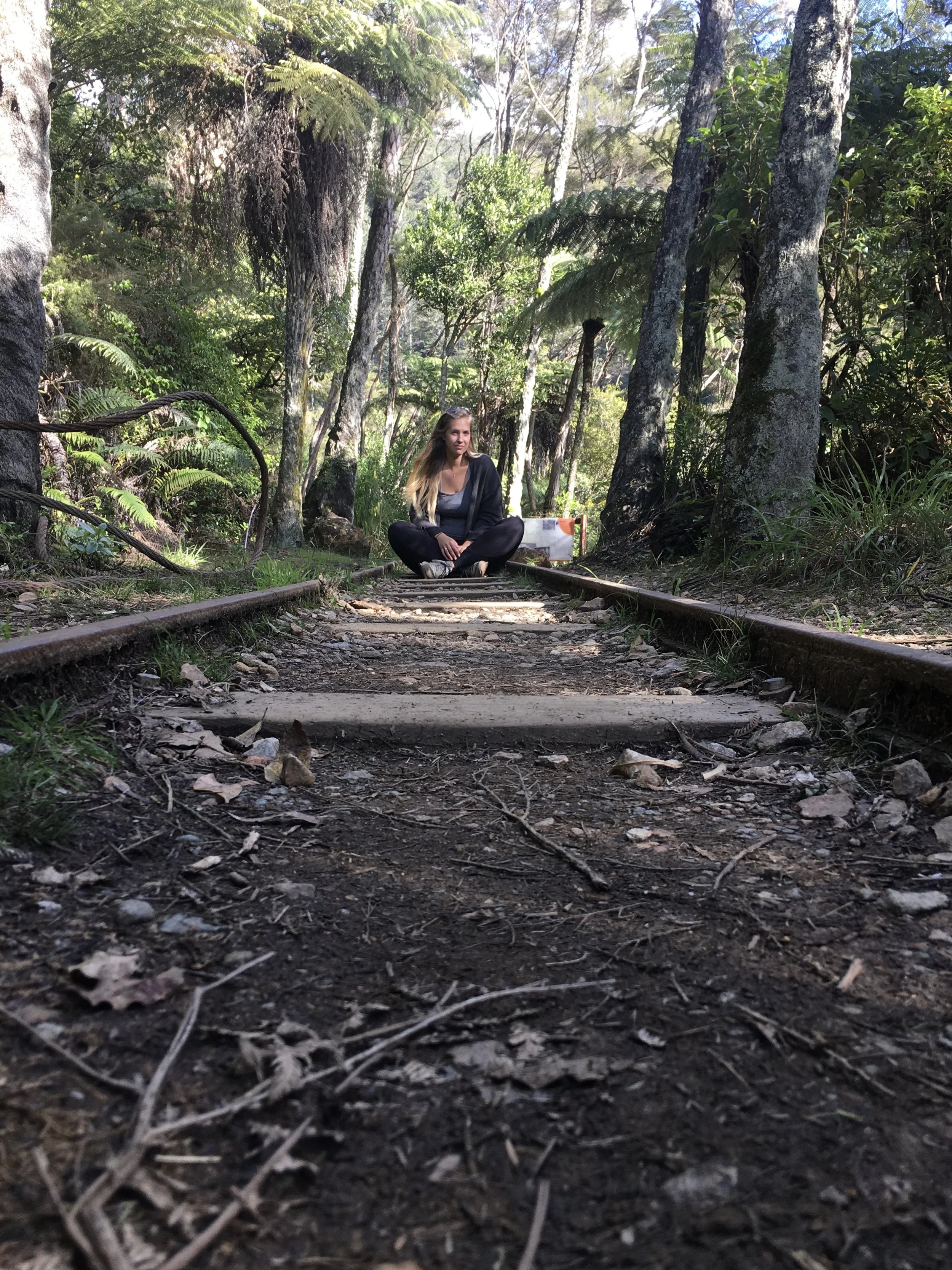 Karangahake Gorge