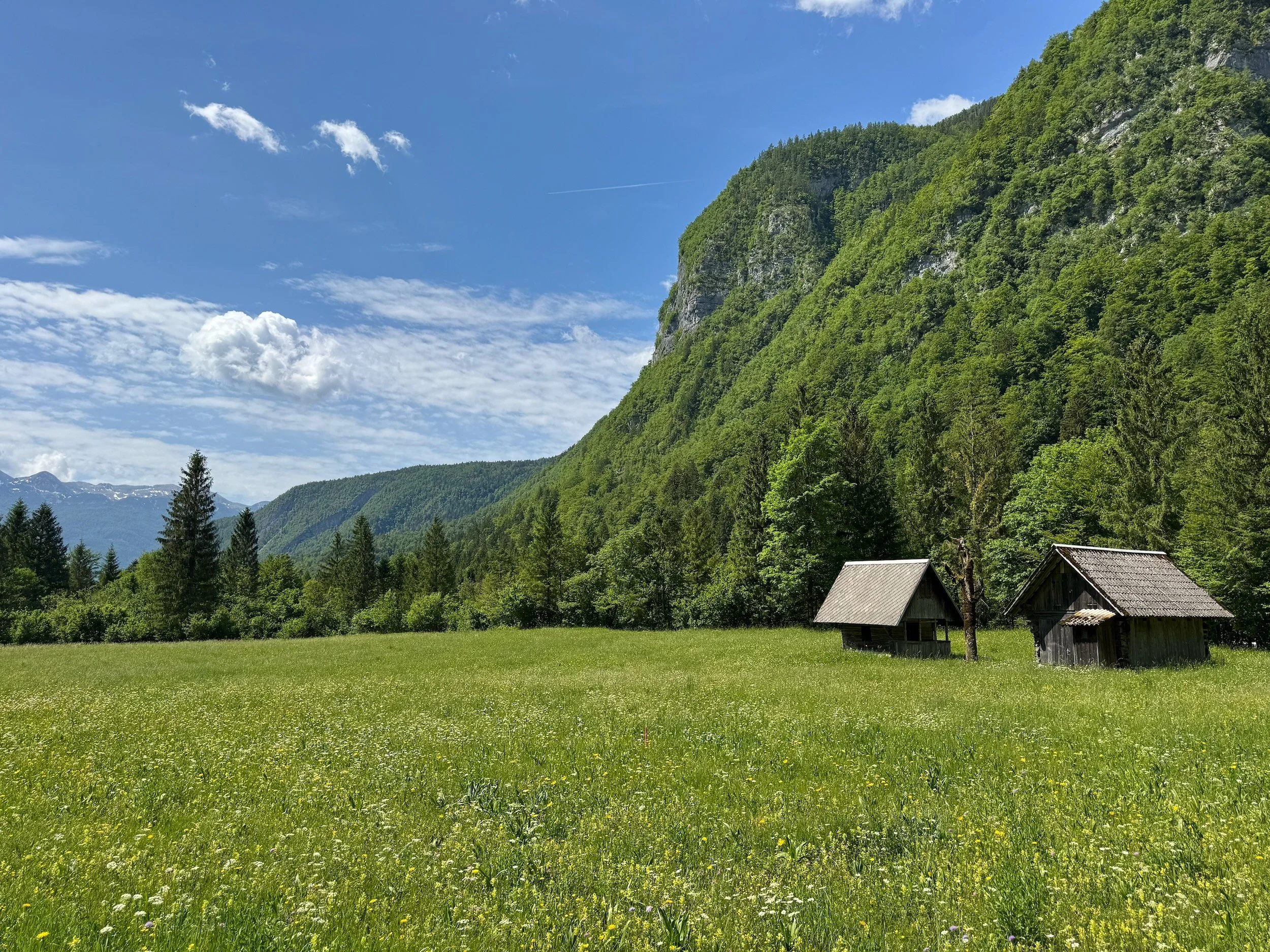 Bohinj-Slovenia-Mostnica Gorge-74.jpeg