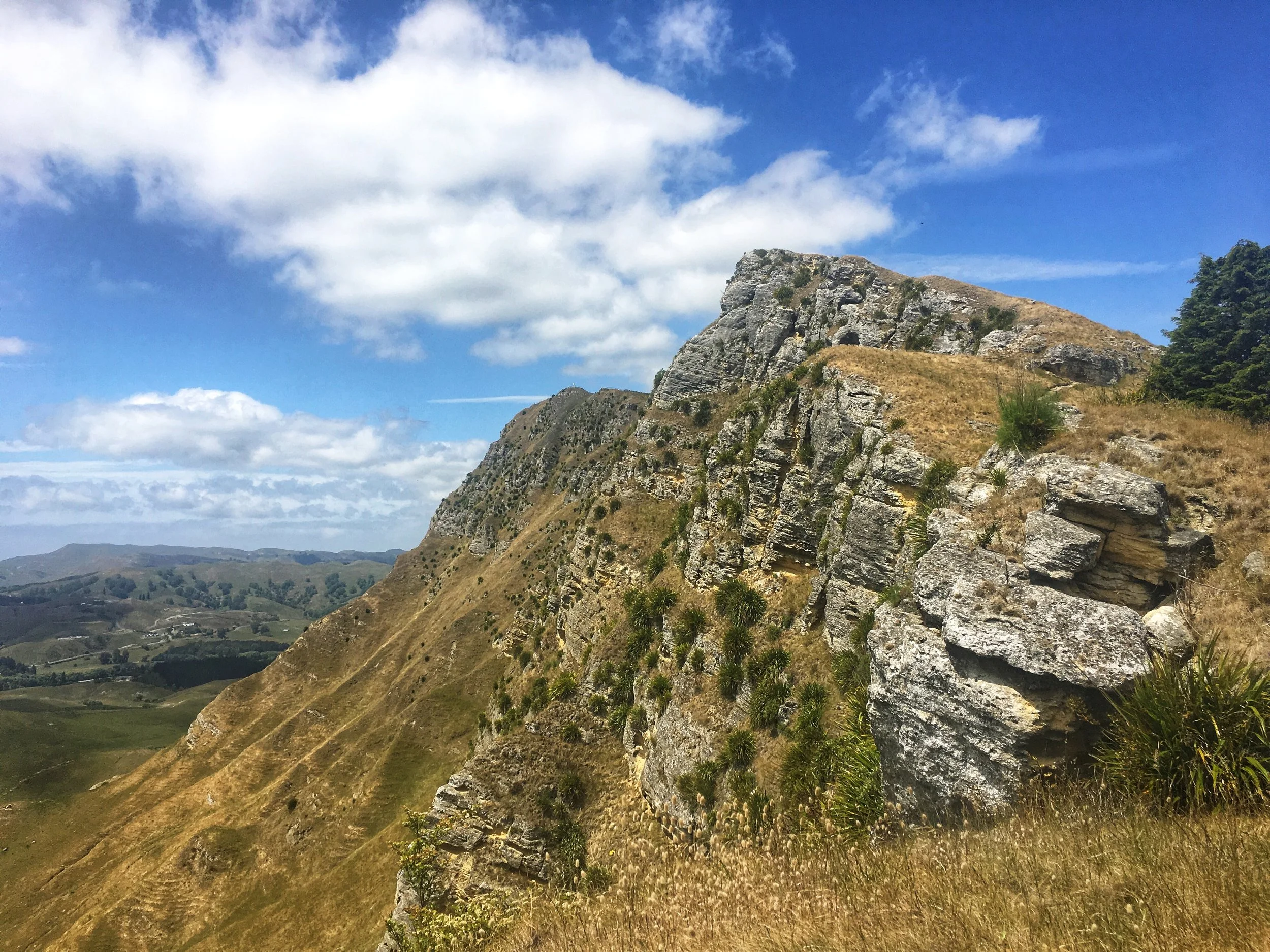 Te Mata Peak, Hawkes Bay
