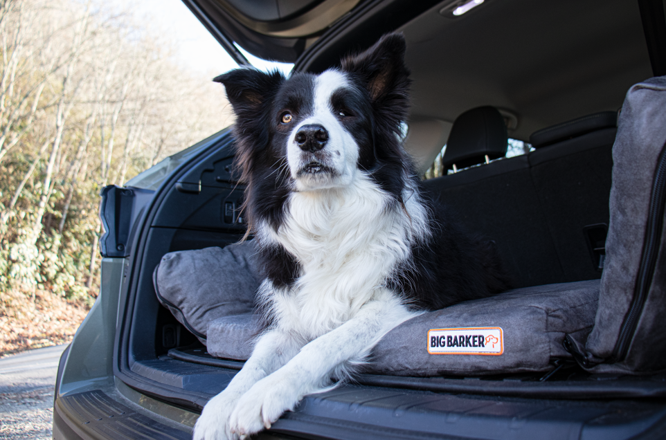 image - 2026-01-07T155852.459.png