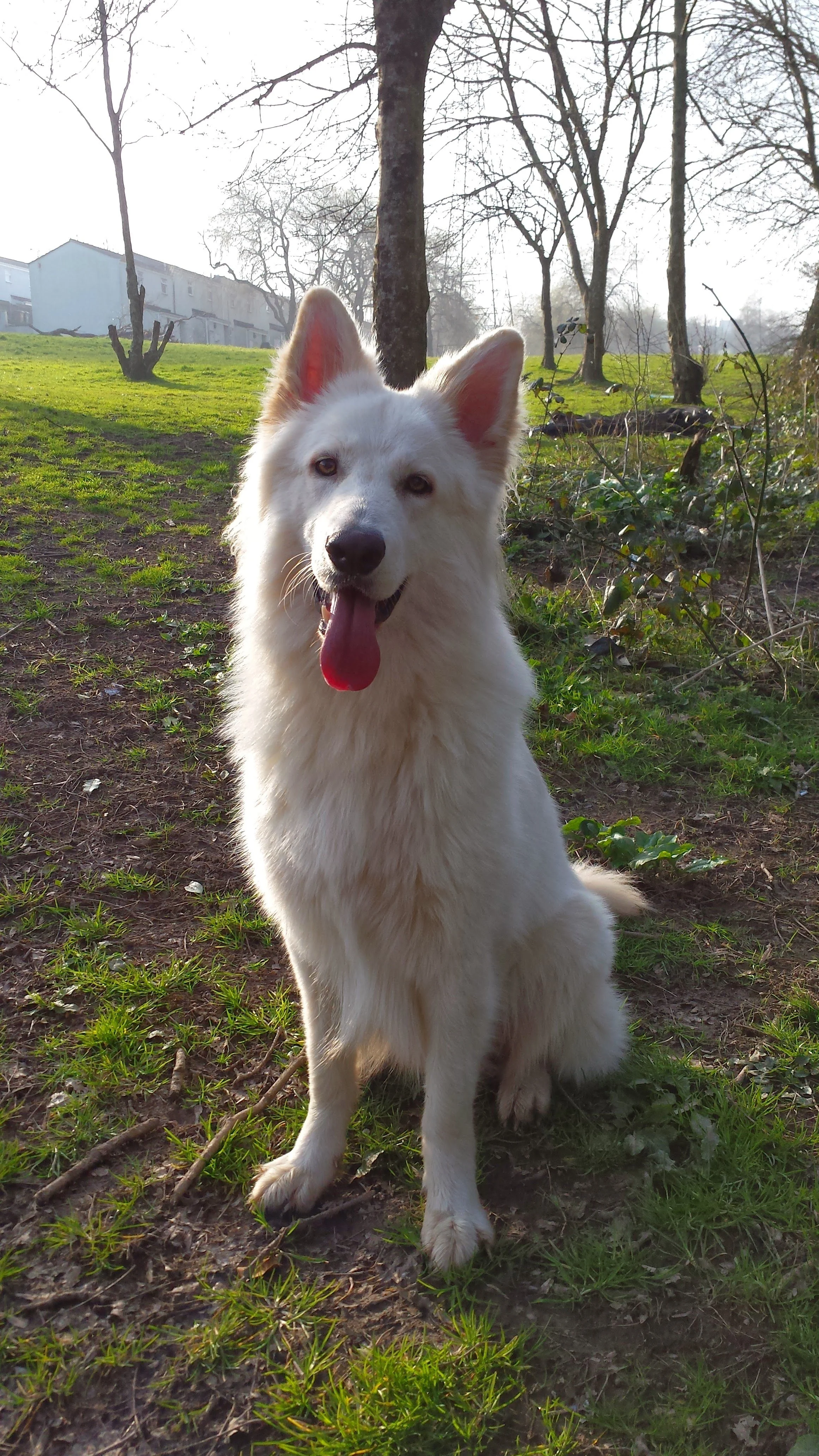 Terrible Teens Programme