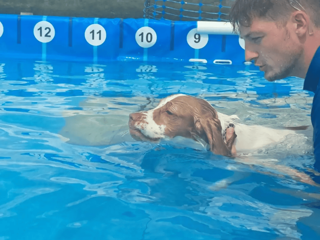 img_12_1721652476295 (1).png