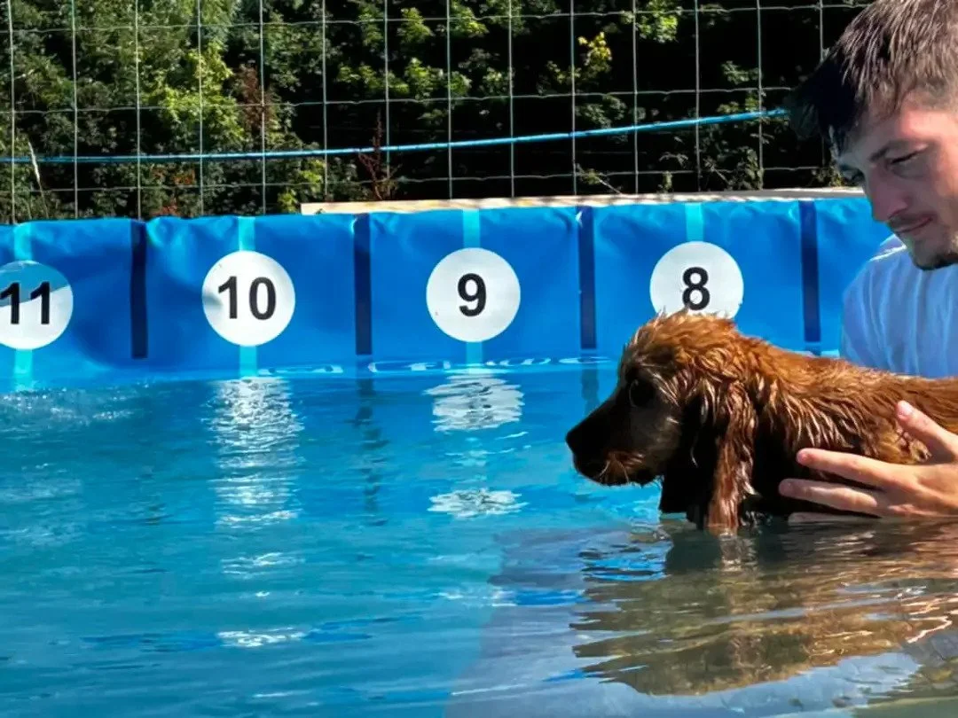 img_1_1722454858140 (1).jpg