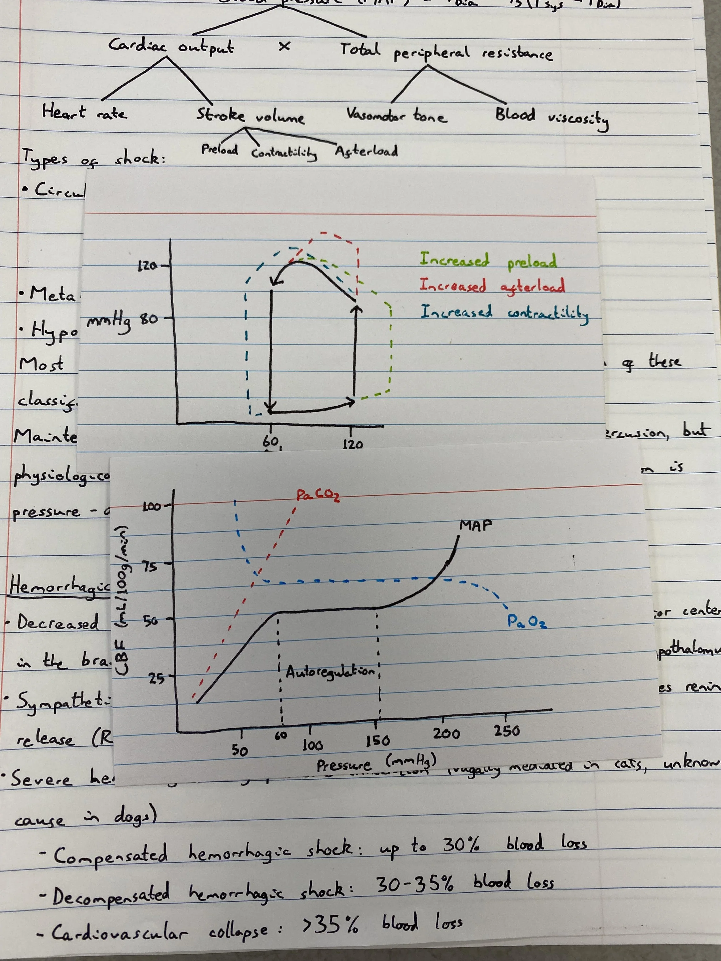 External Review and Advisory Services