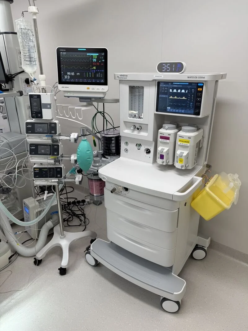 Hospital Planning, Infrastructure, and Equipment Consultation