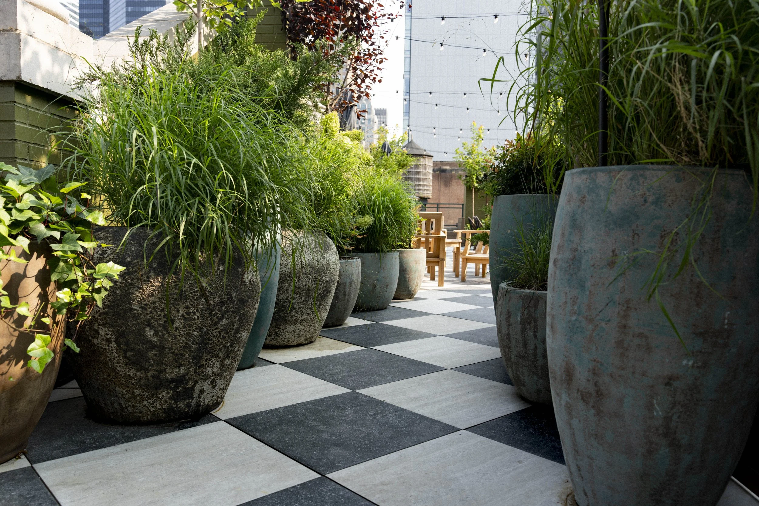 Photo Aug 15 2024, 8 46 11 AM.jpg